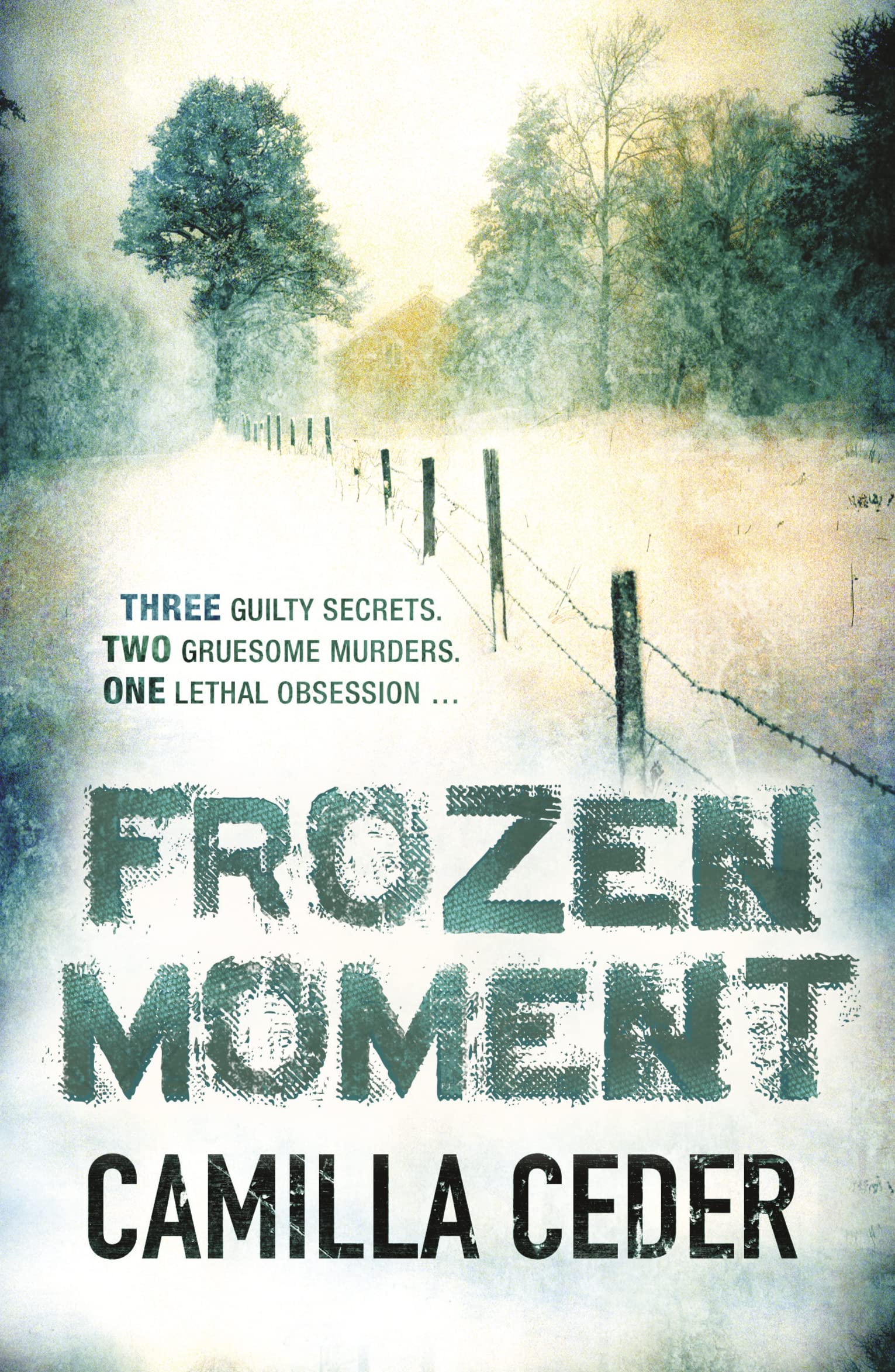 Product Image: Frozen Moment