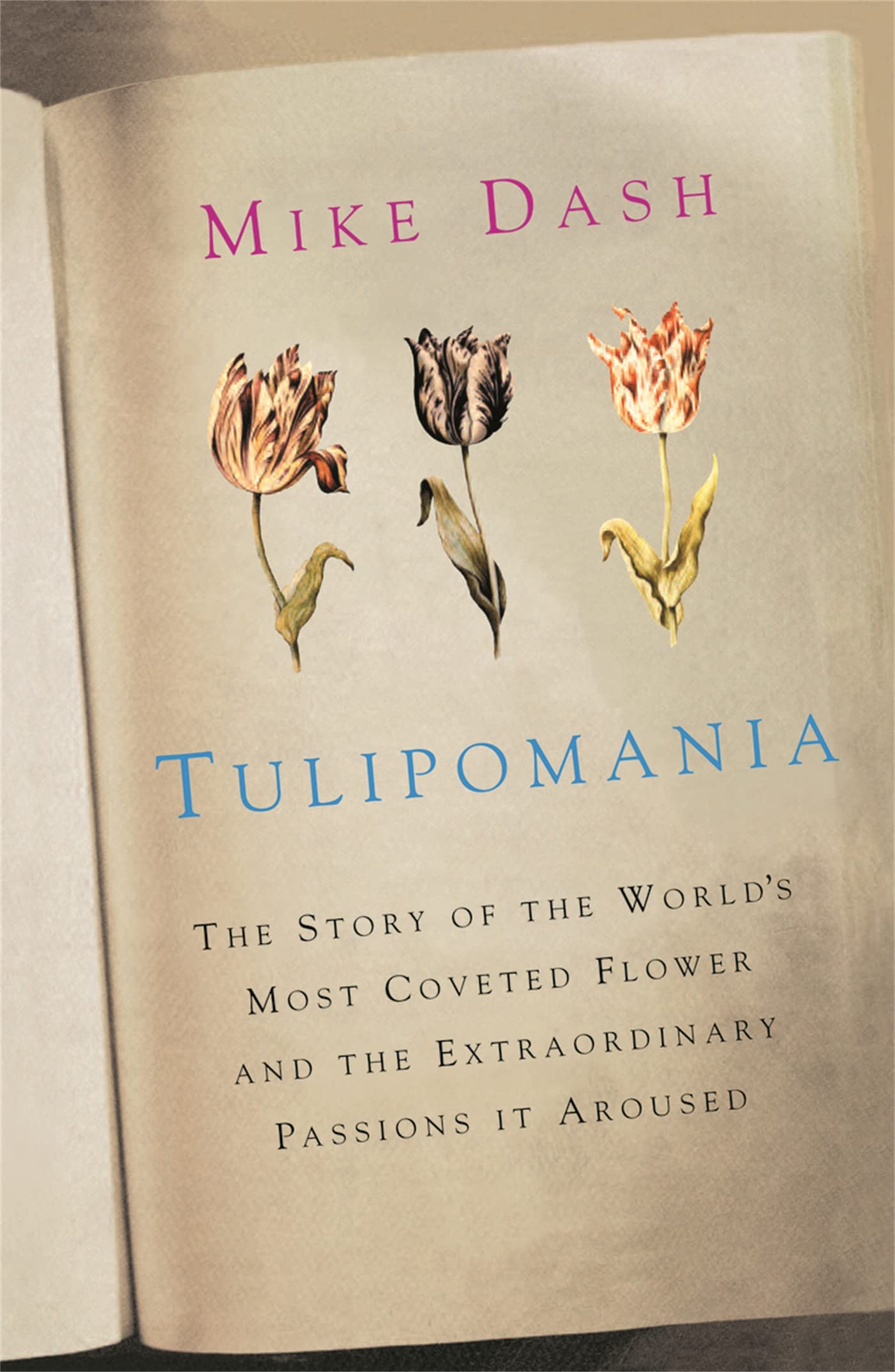 Tulipomania Social Sciences