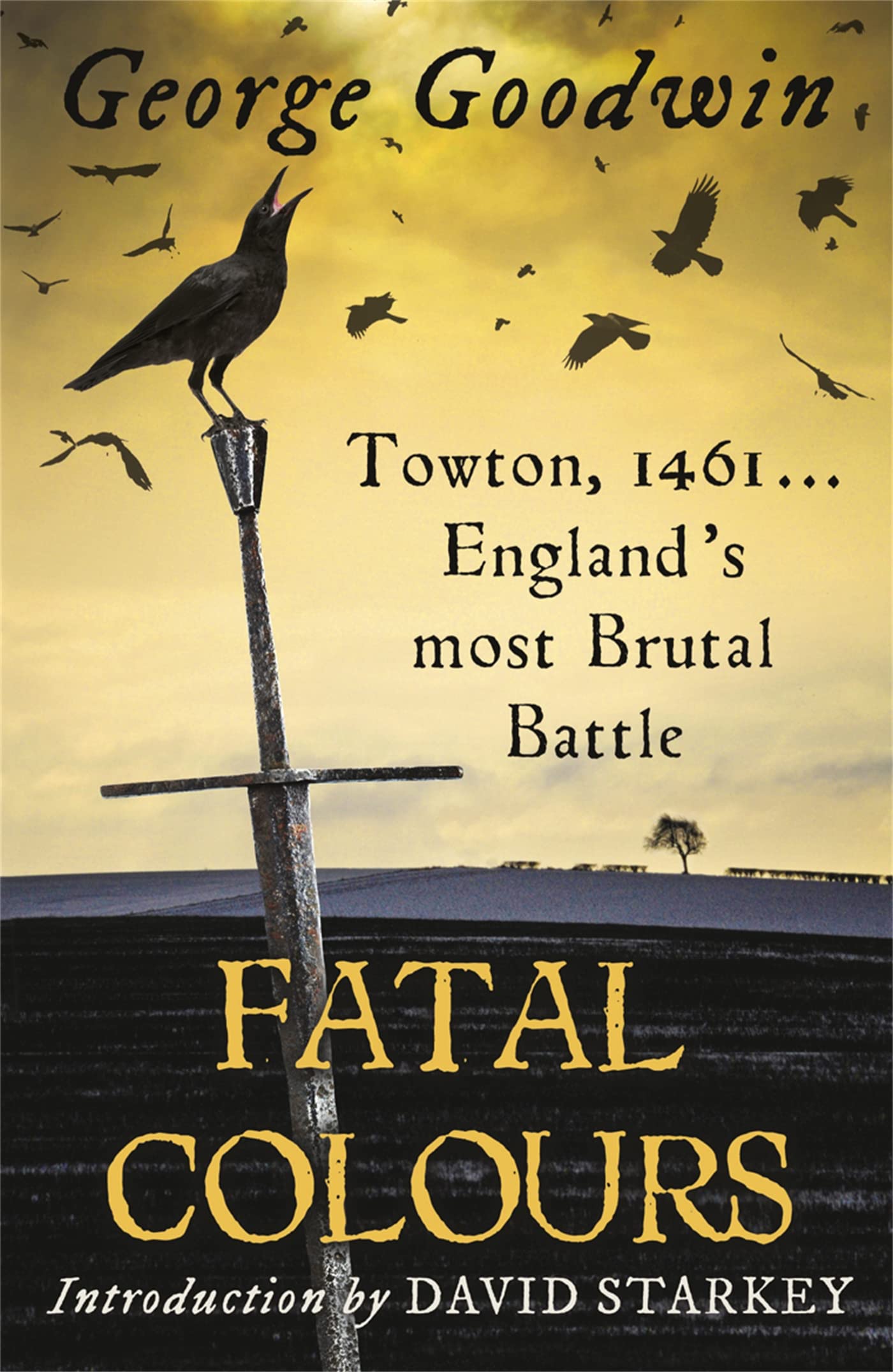 Fatal Colours: Towton, 1461 - England's Most Brutal Battle book