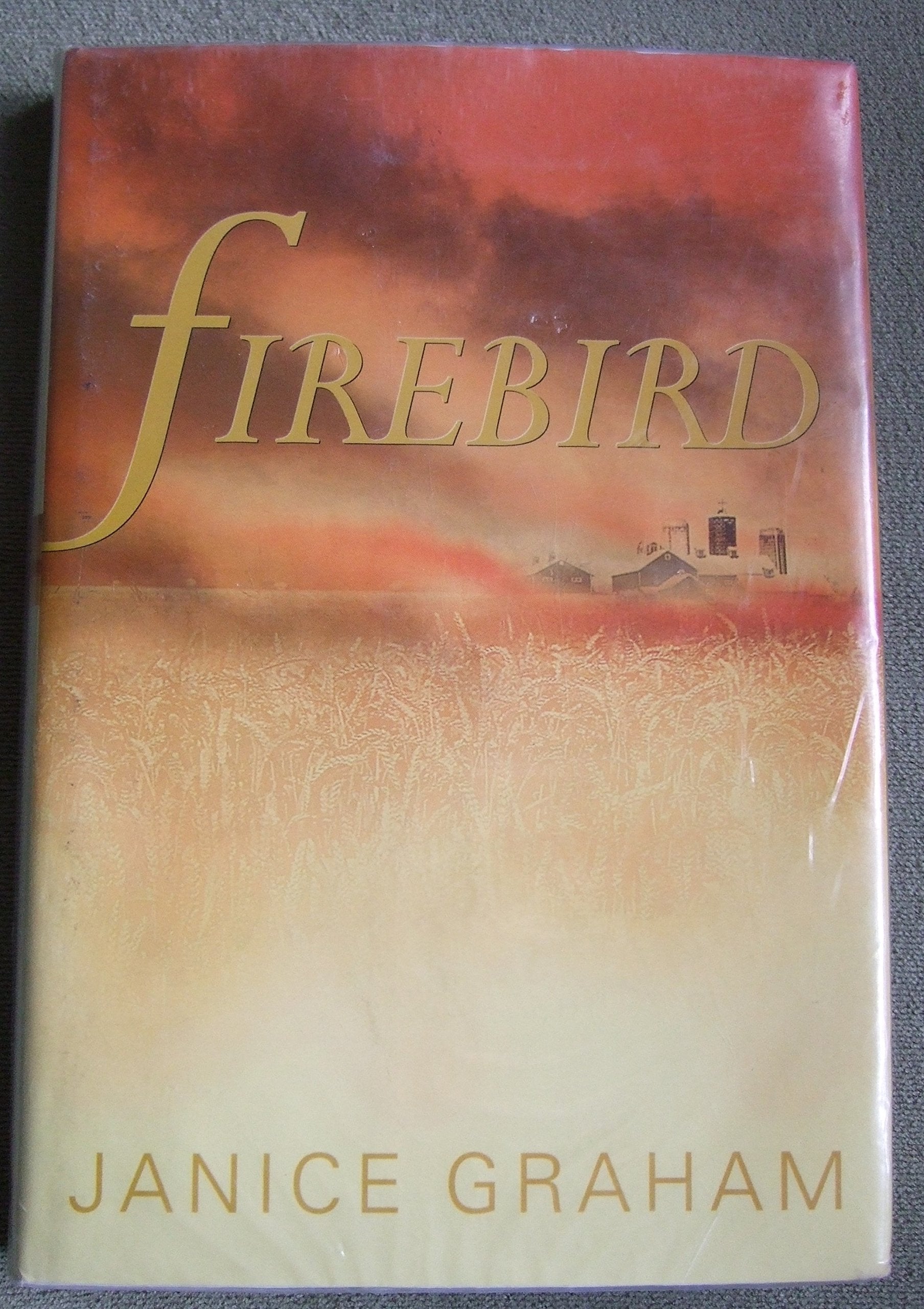 Firebird (Paragon Softcover Large Print Books) Contemporary literature