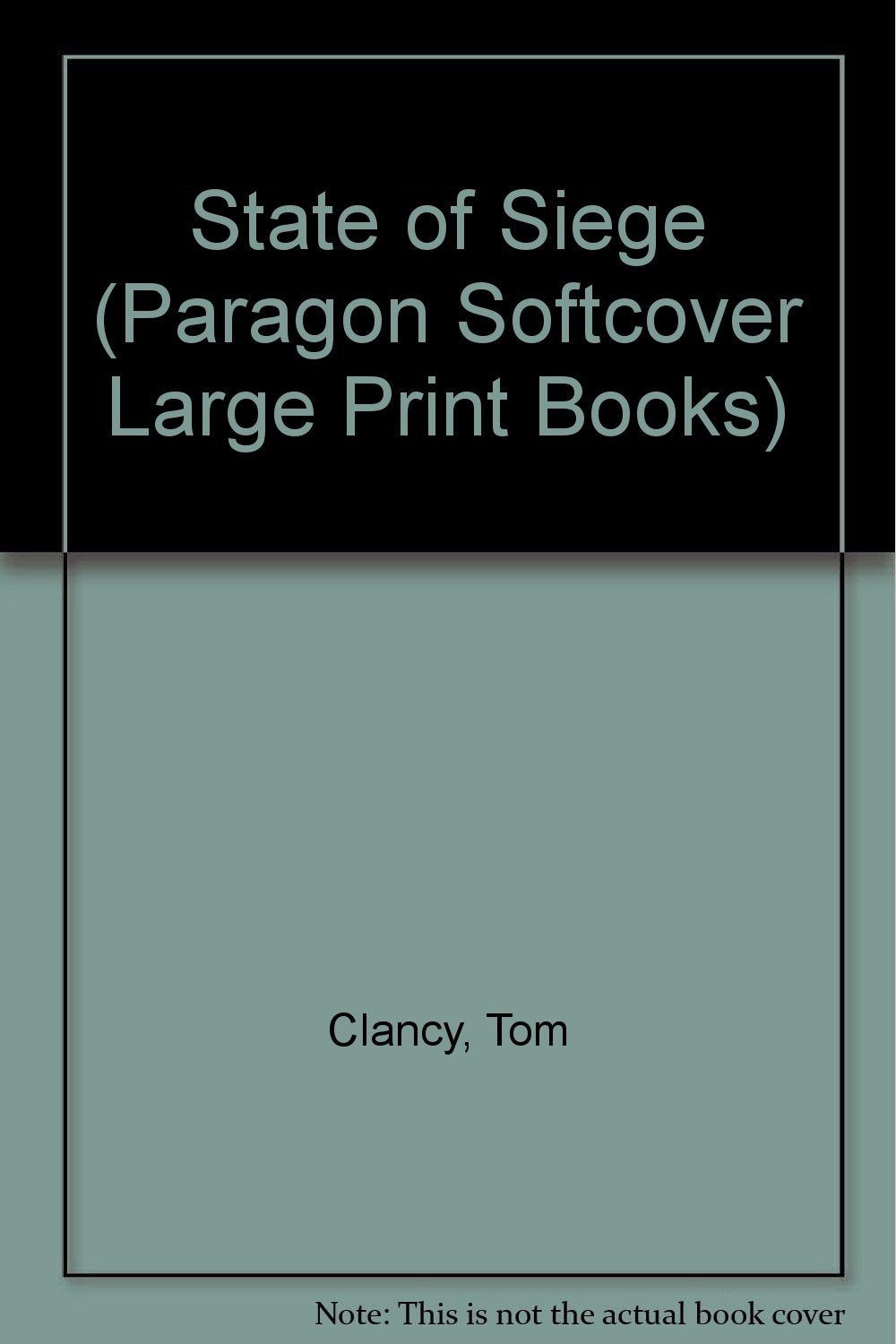 State of Siege (Paragon Softcover Large Print Books) Contemporary literature