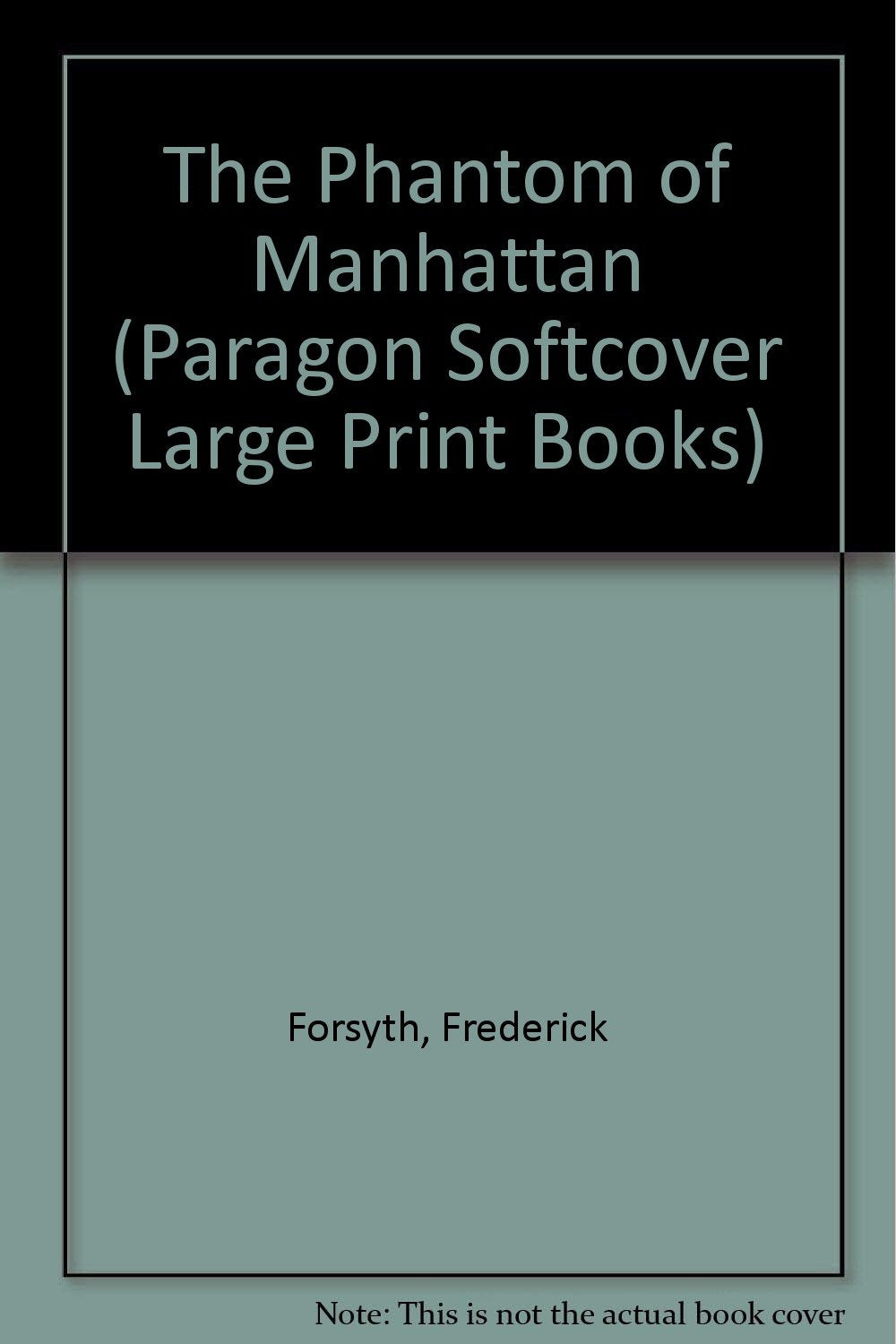 The Phantom of Manhattan (Paragon Softcover Large Print Books) Contemporary literature
