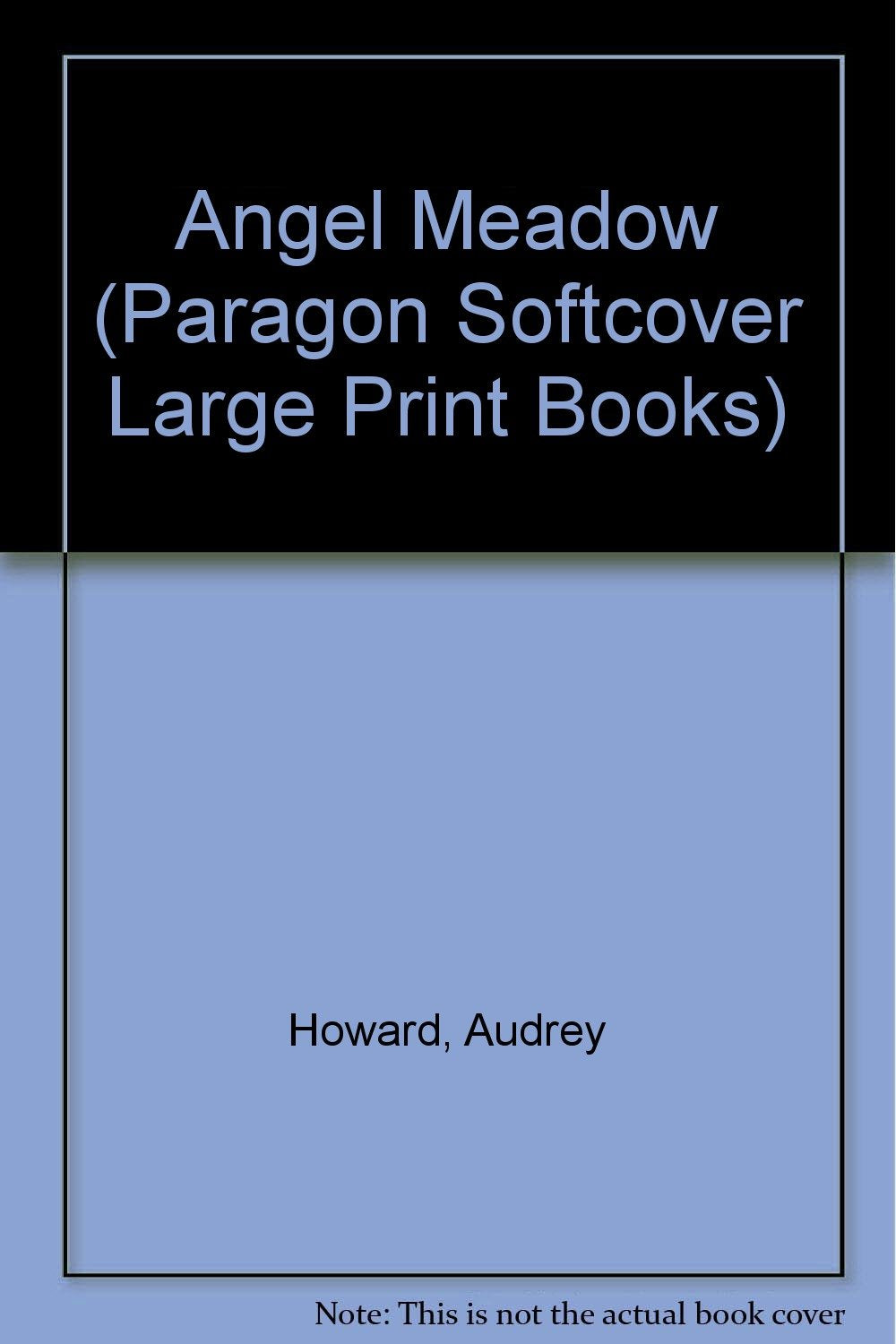 Angel Meadow (Paragon Softcover Large Print Books) Contemporary literature