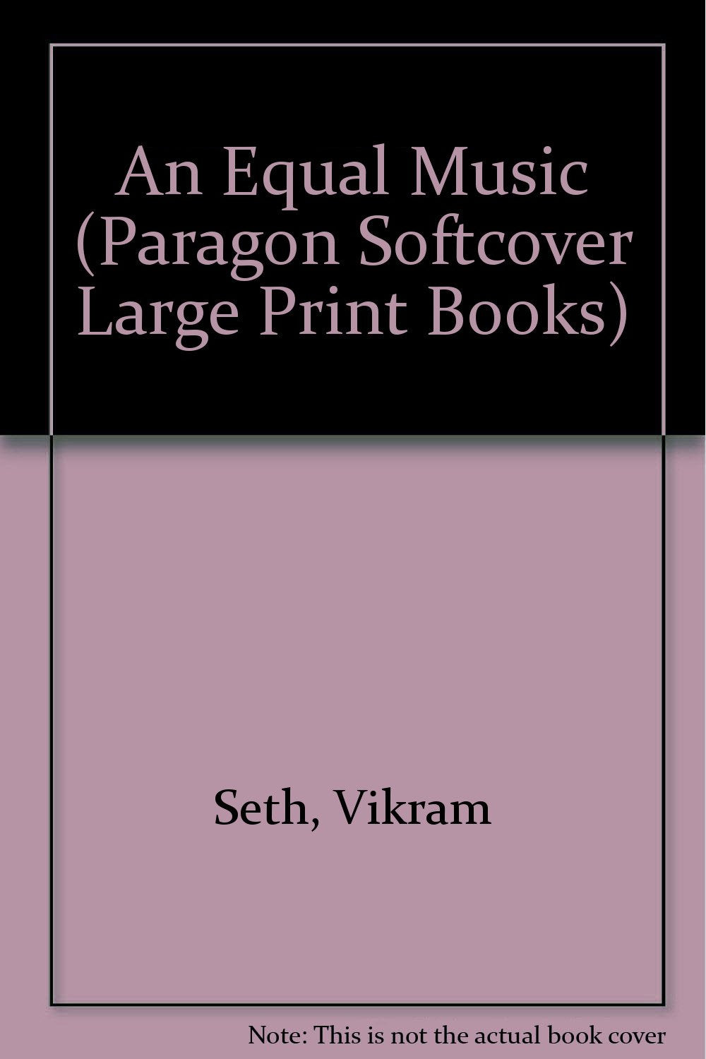 An Equal Music (Paragon Softcover Large Print Books) Contemporary literature