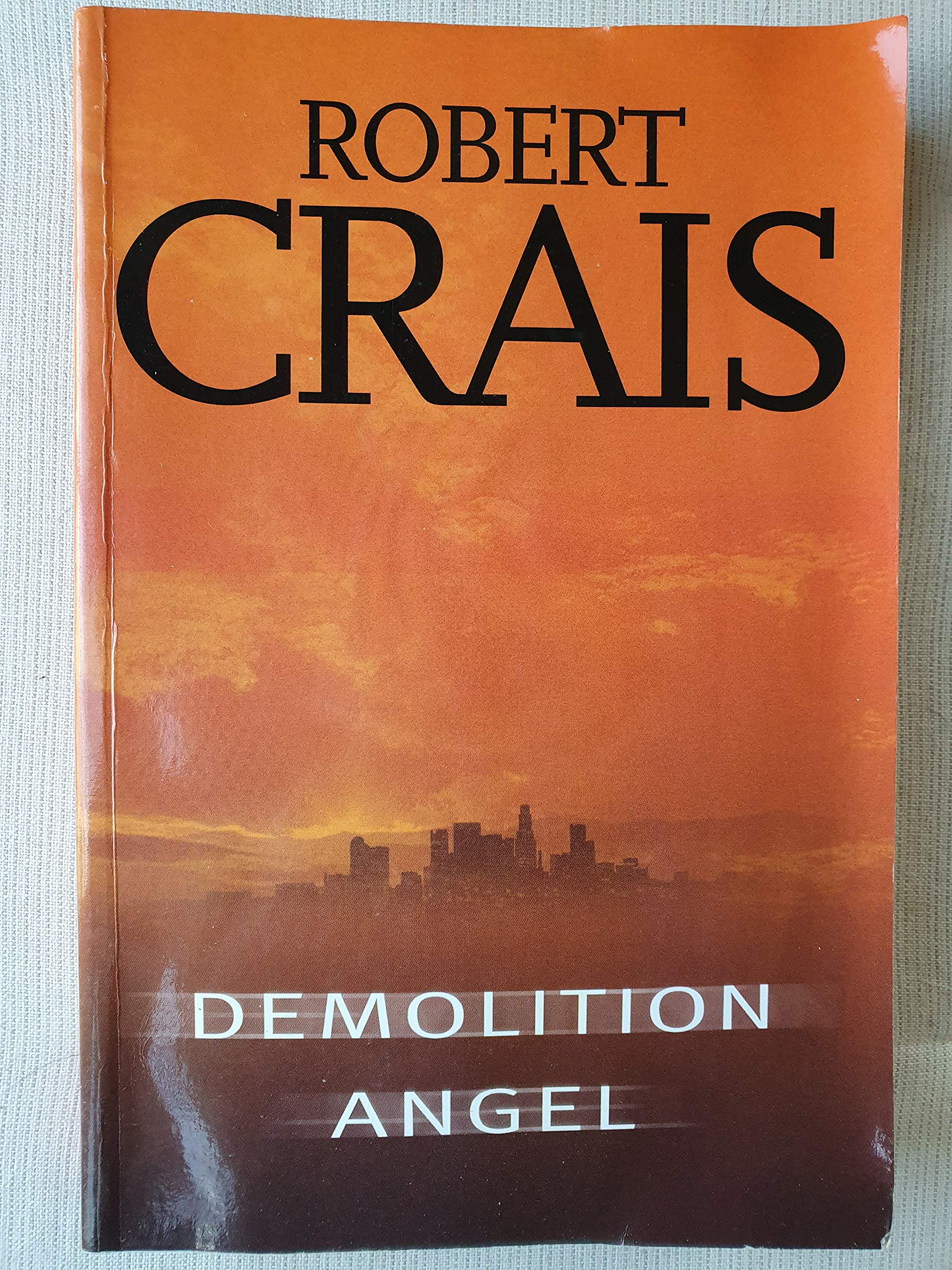 Demolition Angel (Paragon Softcover Large Print Books) Contemporary literature