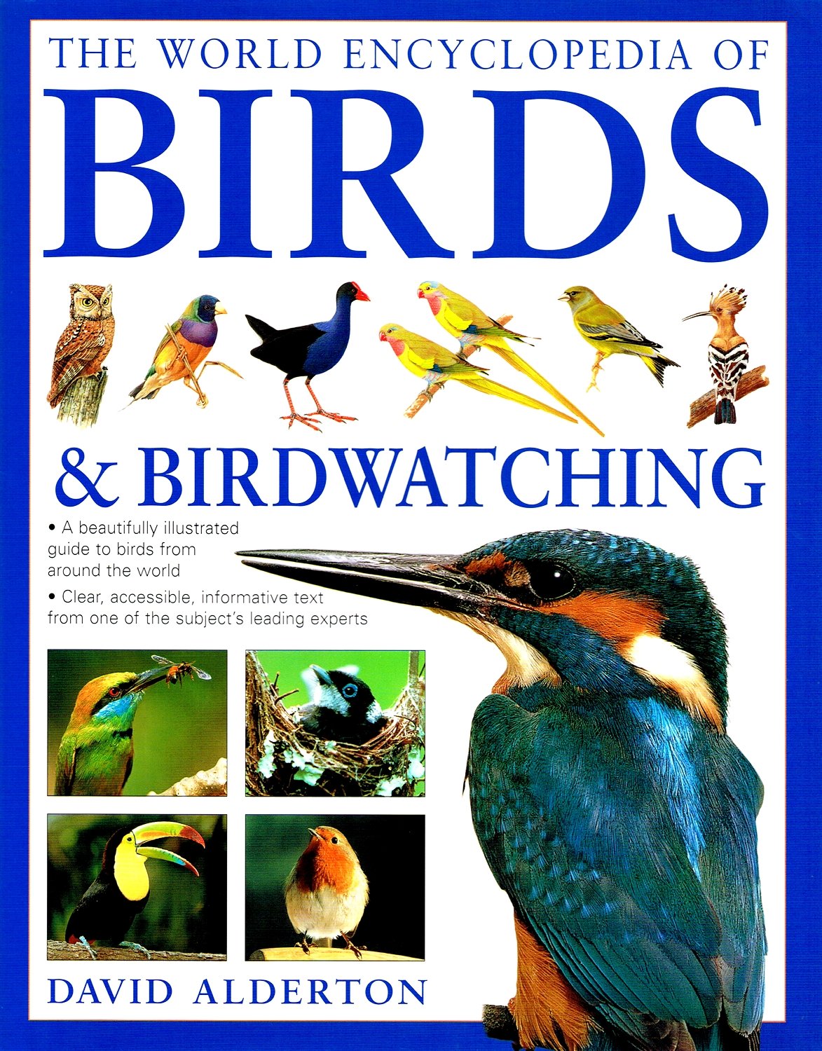 The World Encyclopedia of Birds & Birdwatching Mathematics