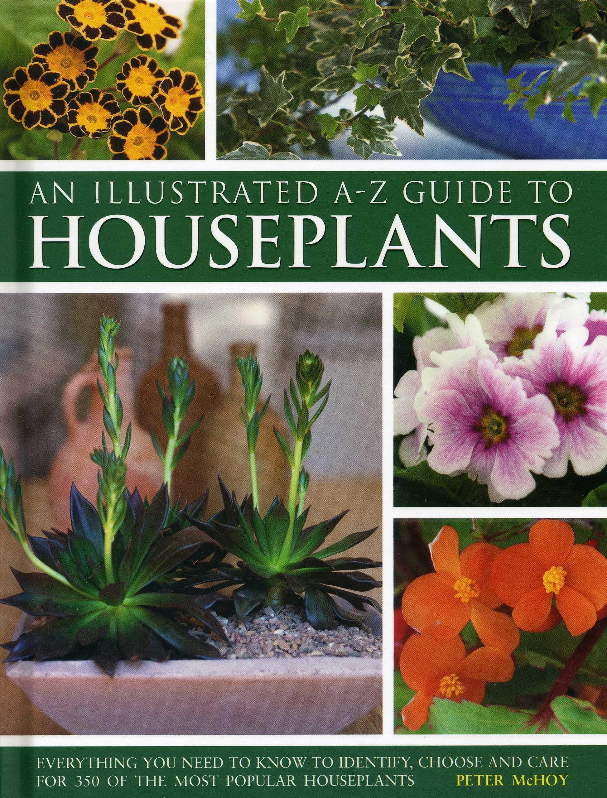 An Illustrated A-Z Guide to Houseplants: Everything You Need to Know to Identify, Choose and Care for 350 of the Most Popular Houseplants Garden & Plants