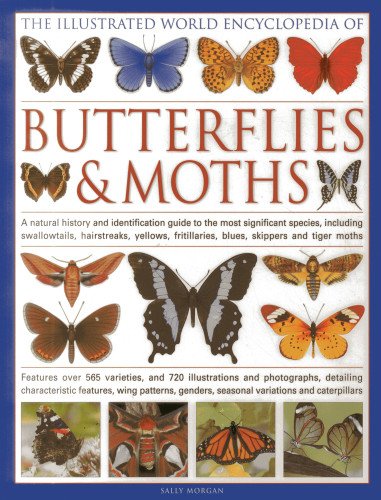 The Illustrated World Encyclopedia of Butterflies & Moths: A Natural History and Identification Guide to the Most Significant Species, Including ... Fritillaries, Blues, Skippers and Tiger Moths book