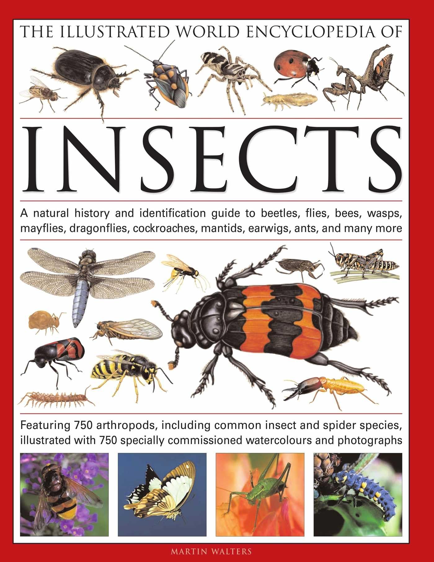 The Illustrated World Encyclopedia of Insects Mathematics
