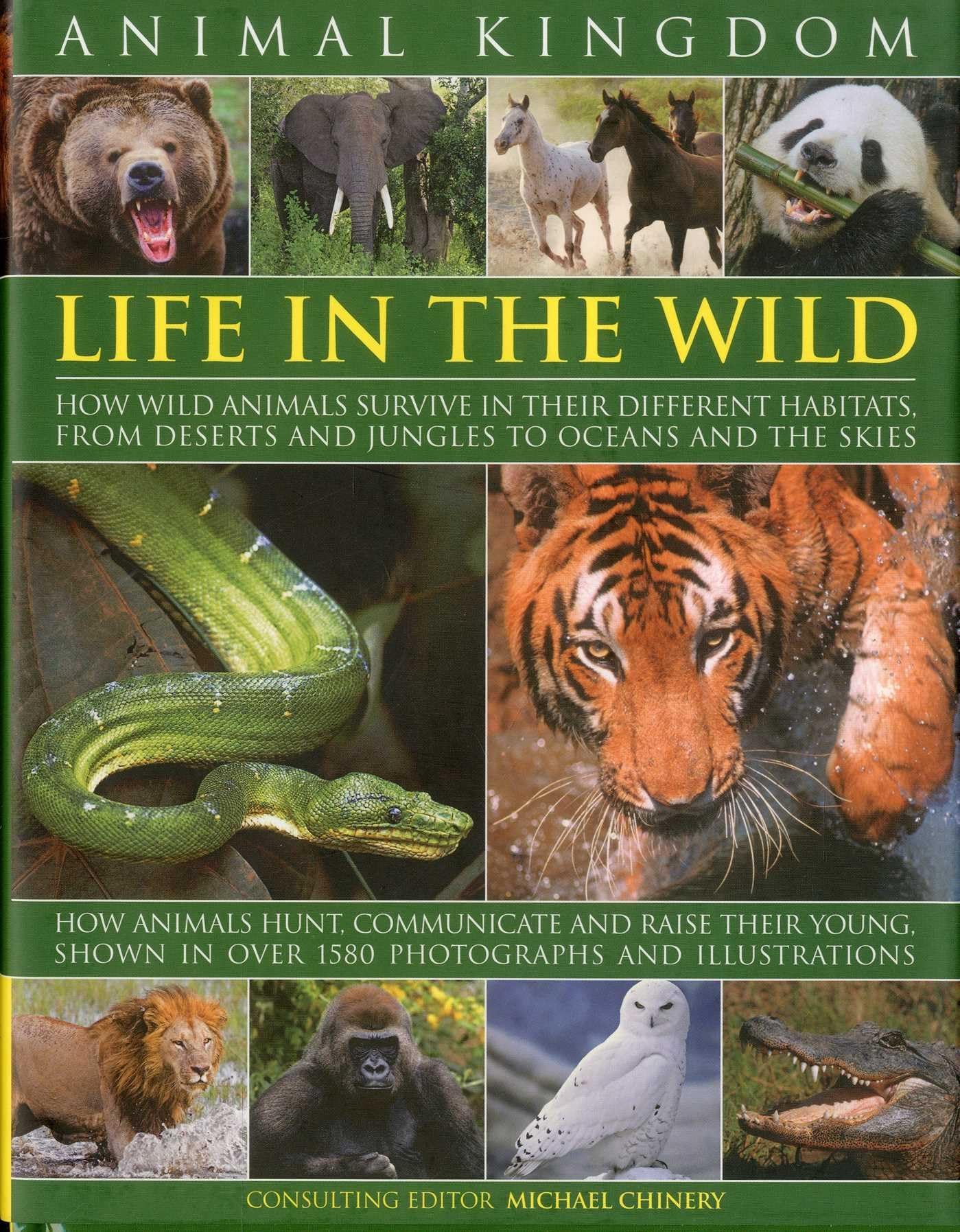 Animal Kingdom: Life in the Wild - How Wild Animals Survive in Their Different Habitats, from Deserts and Jungles to Oceans and the Skies Mathematics