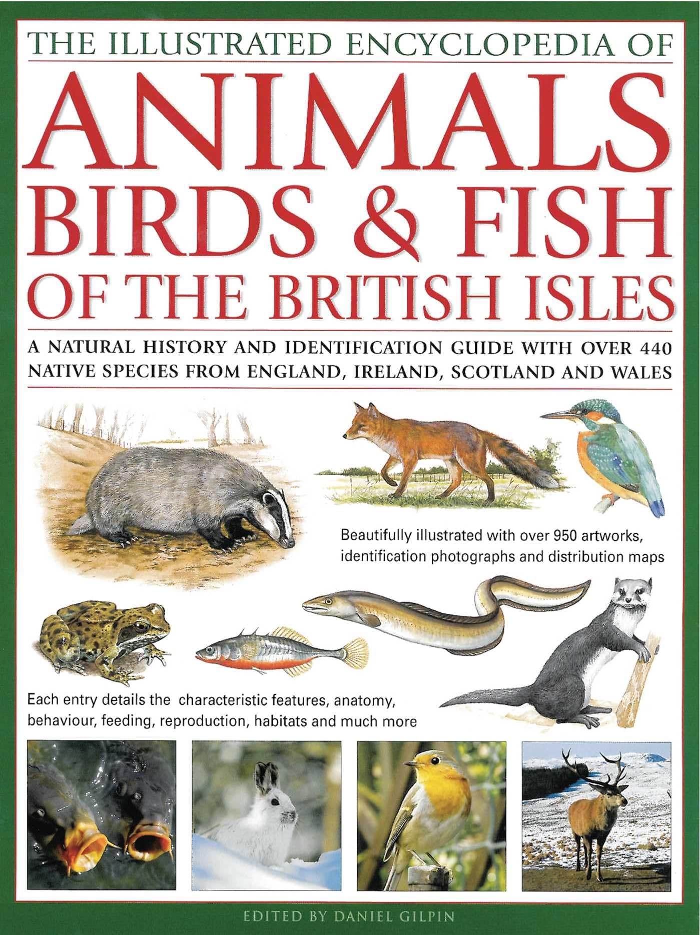 The Illustrated Encyclopedia of Animals, Birds & Fish of the British Isles: A Natural History and Identification Guide With over 440 Native Species from England, Ireland, Scotland and Wales Mathematics