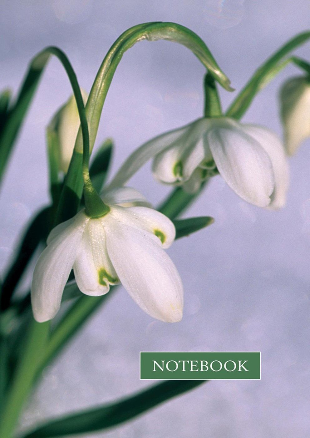 Snowdrop Books