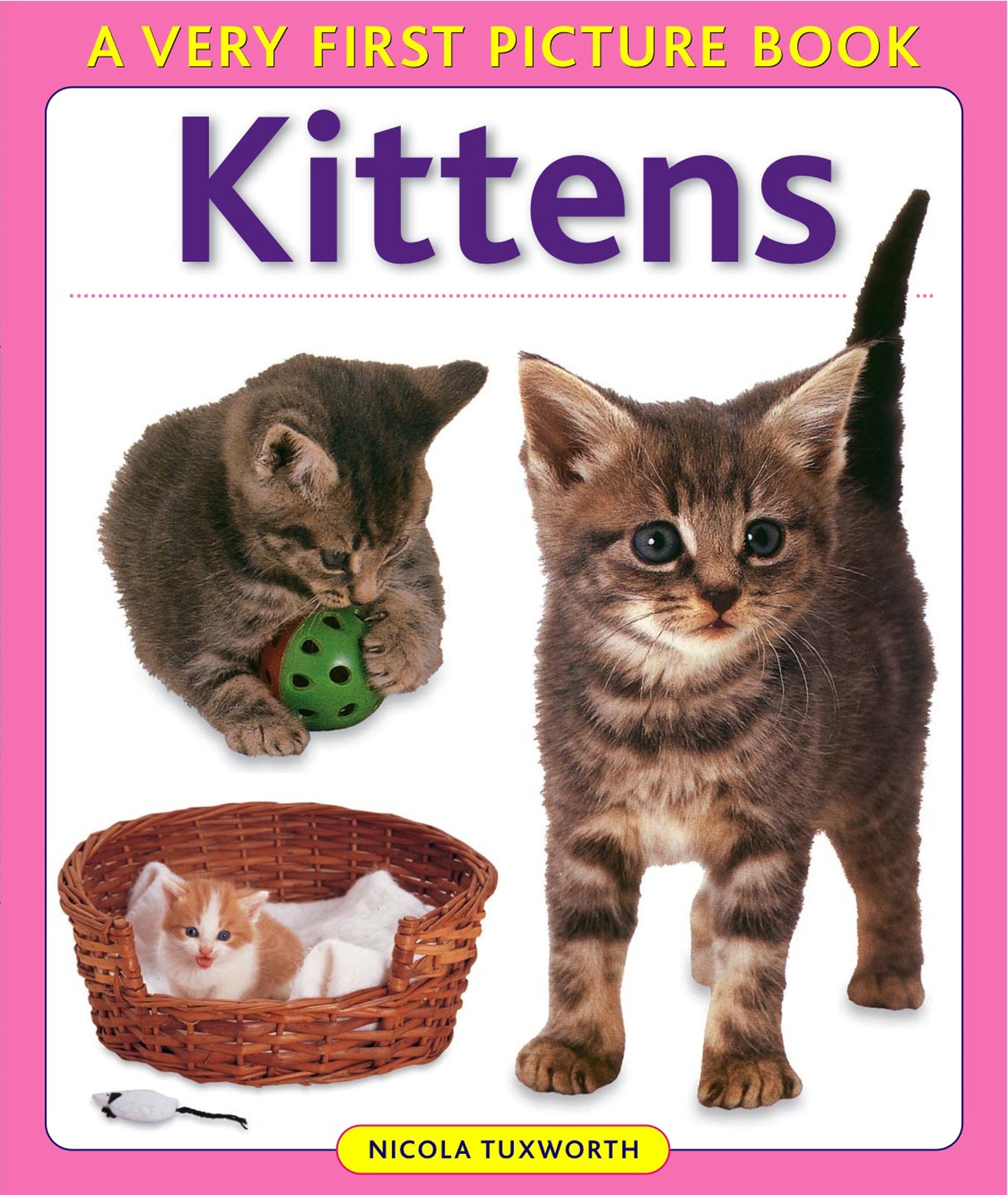Kittens (Very First Picture Book Series) Parents & Children