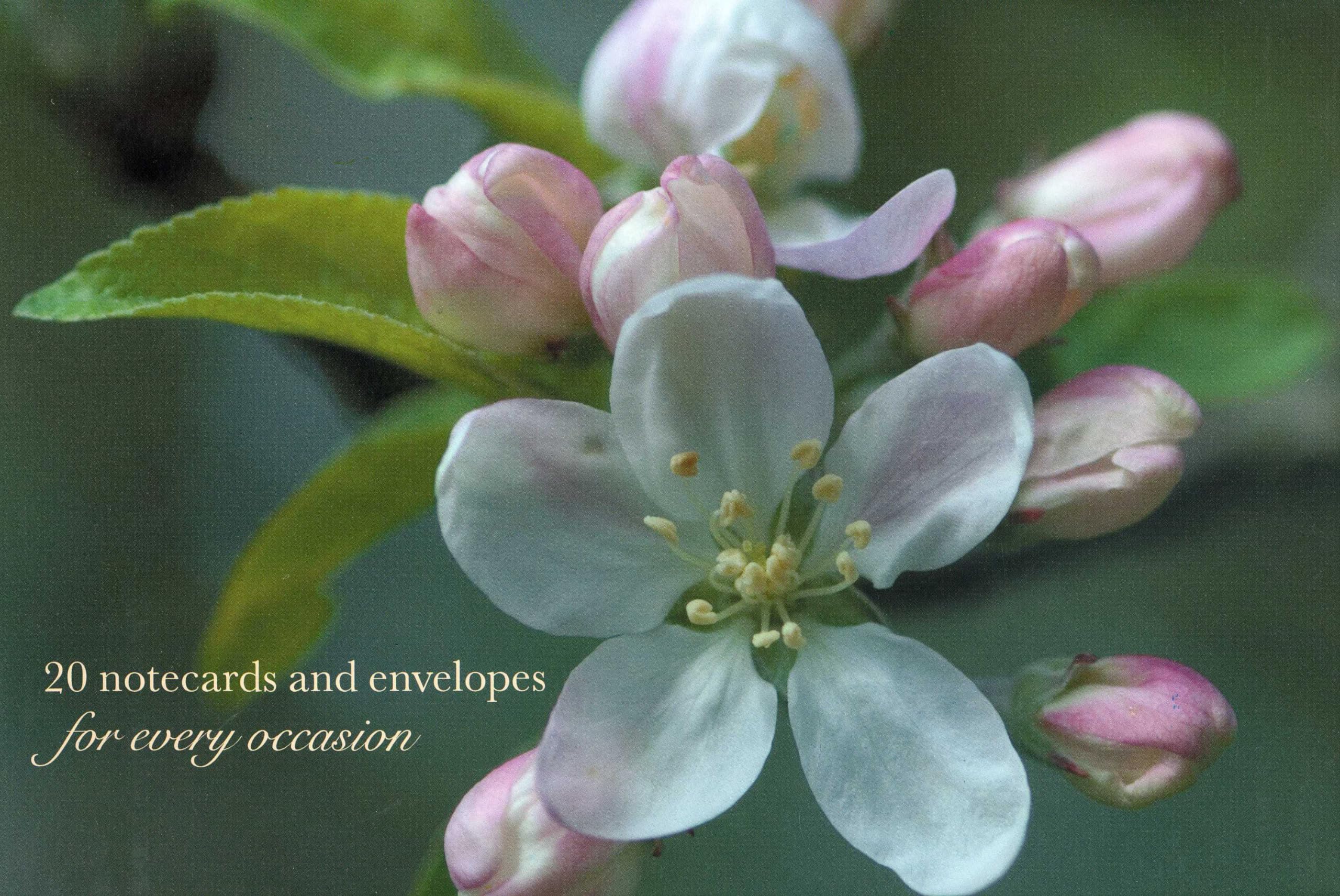 Cardbox of 20 Notecards and Envelopes: Apple Blossom Living & Furnishing