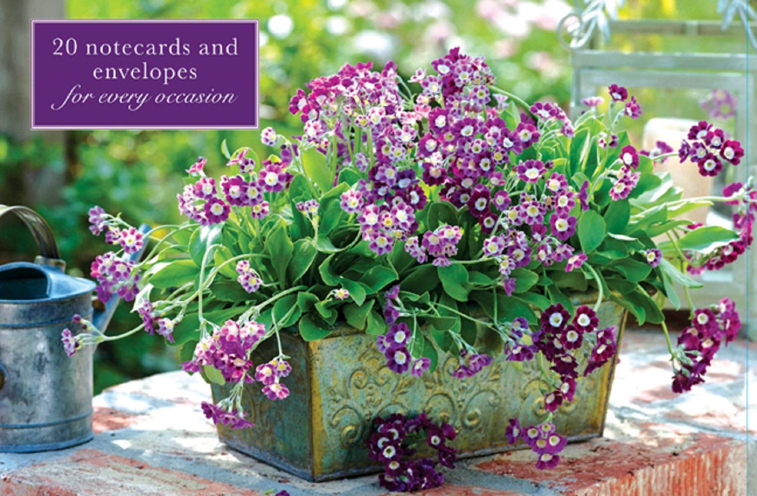 Card Box of 20 Notecards and Envelopes: Primula: A Fabulous Collection of 20 Beautiful Flower Display Cards and Decorative Envelopes. Hobbies & Crafts