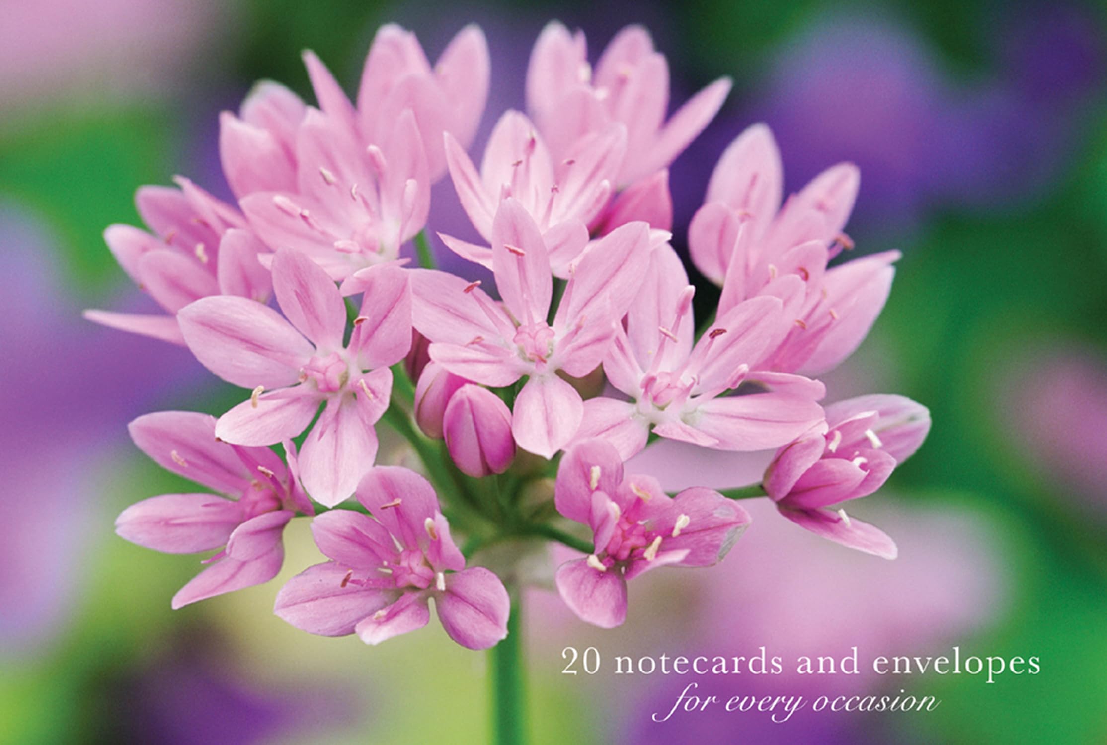 Allium: Notecards for Every Occasion : 20 Notecards and Envelopes for Every Occasion Hobbies & Crafts