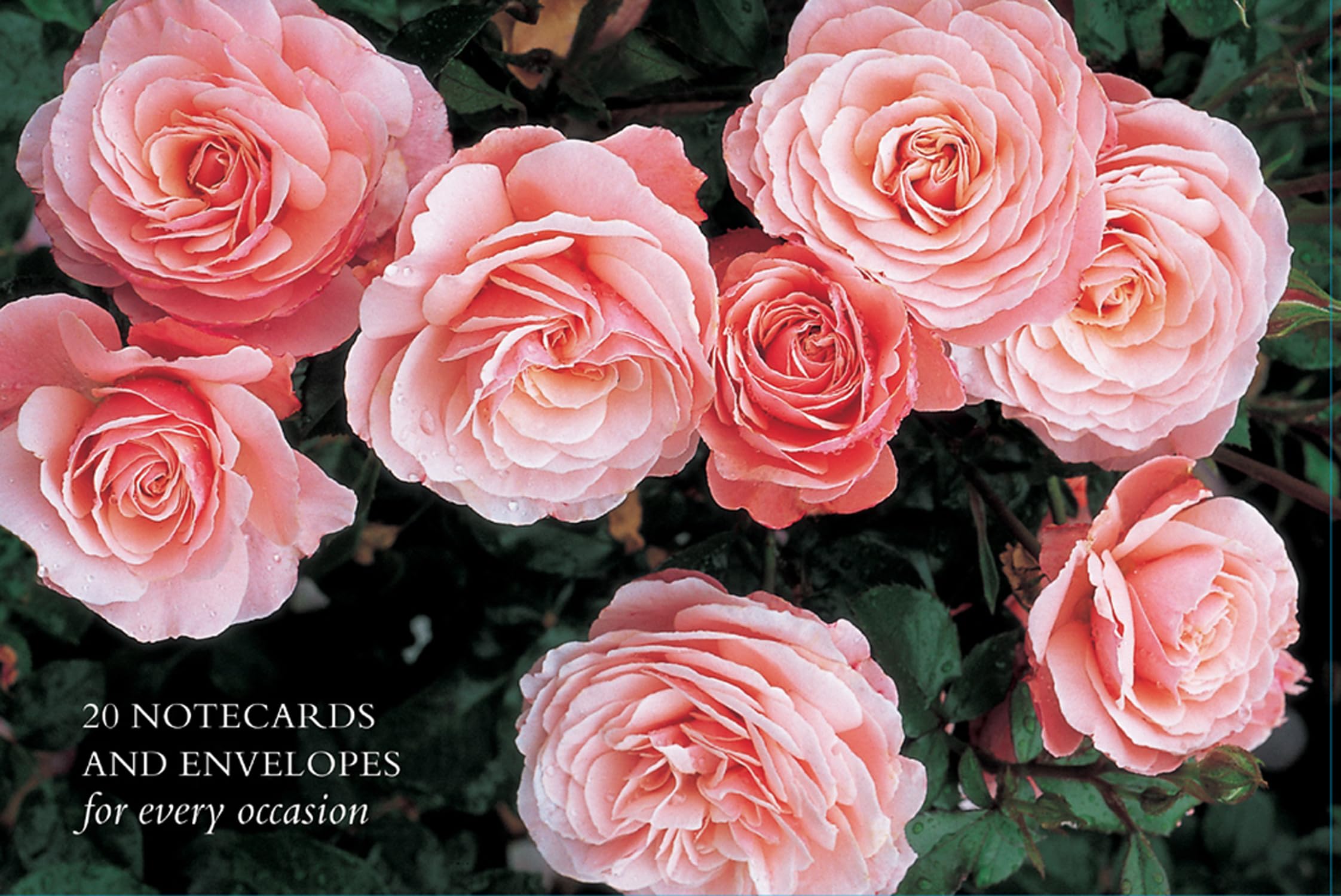 Card Box of 20 Notecards and Envelopes: Roses Living & Furnishing