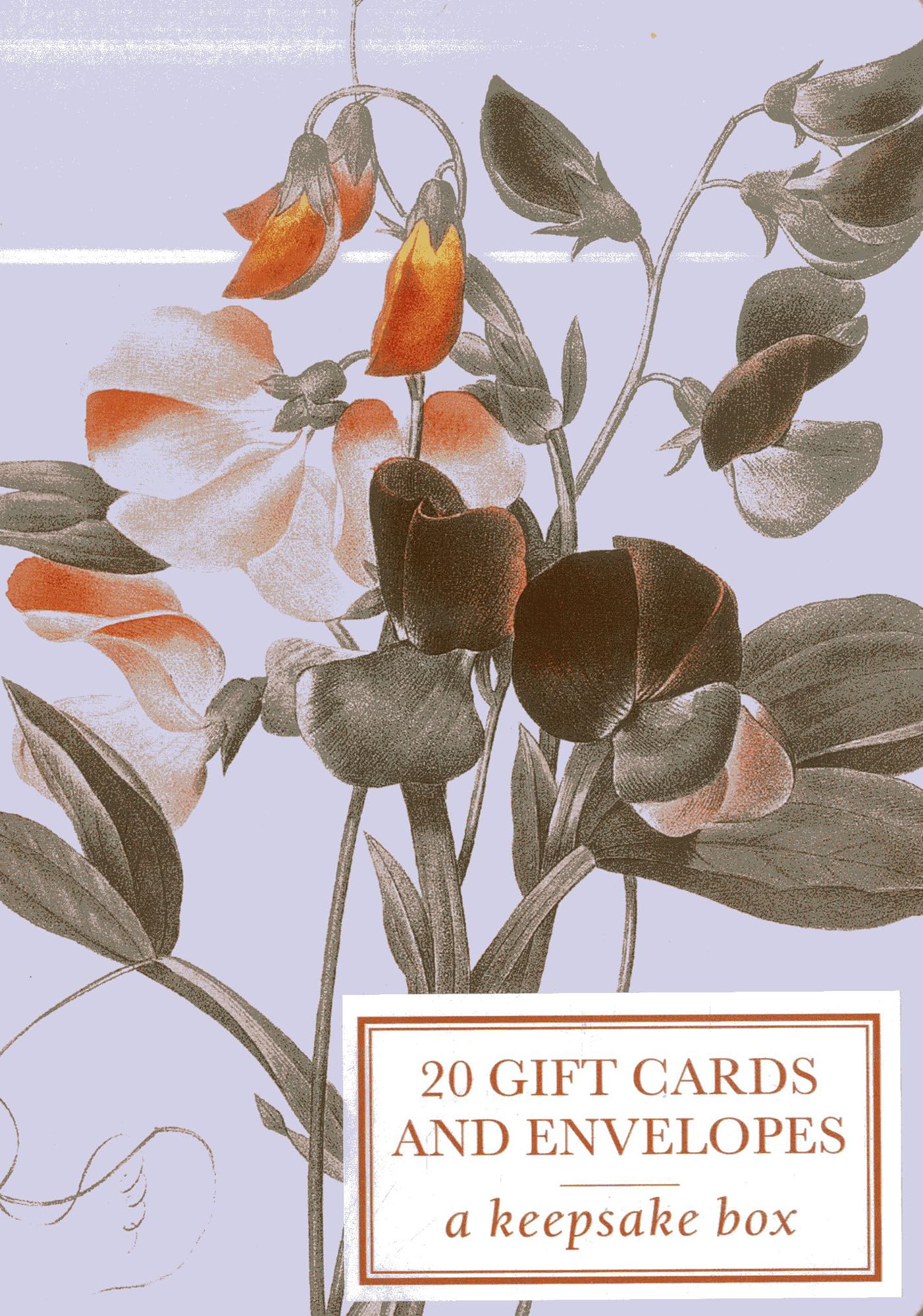 Tin Box of 20 Gift Cards and Envelopes: Sweetpea Living & Furnishing