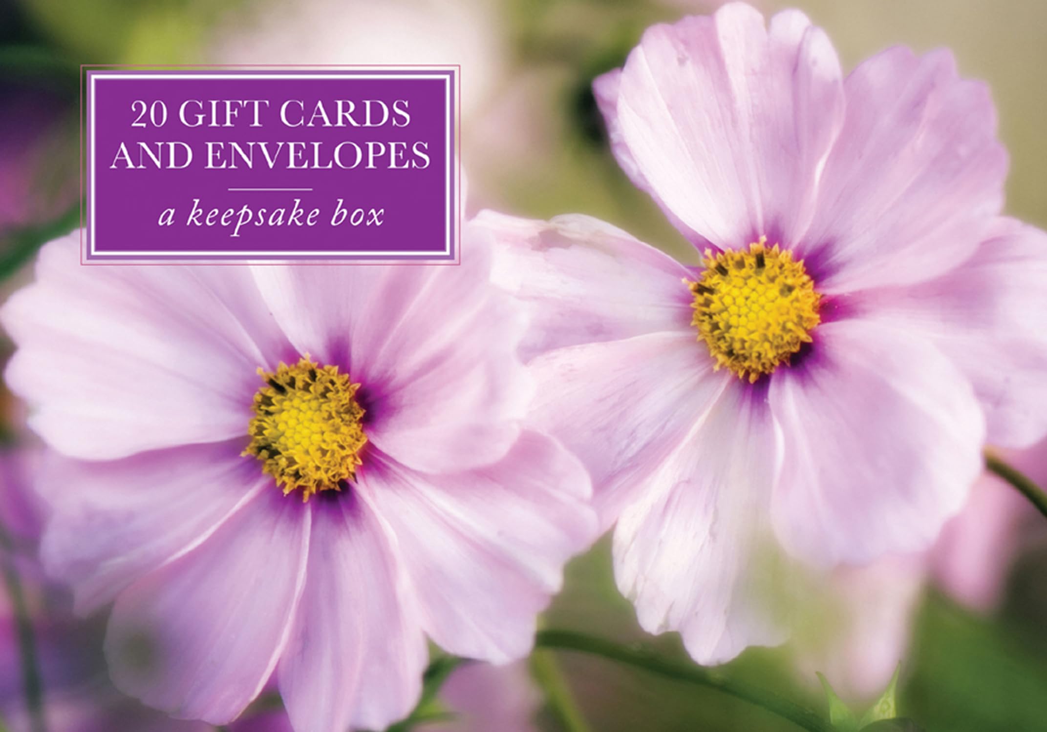 Tin Box of 20 Notecards and Envelopes: Pink Cosmos: A Keepsake Tin Box Featuring 20 High-quality Floral Gift Cards and Envelopes Living & Furnishing