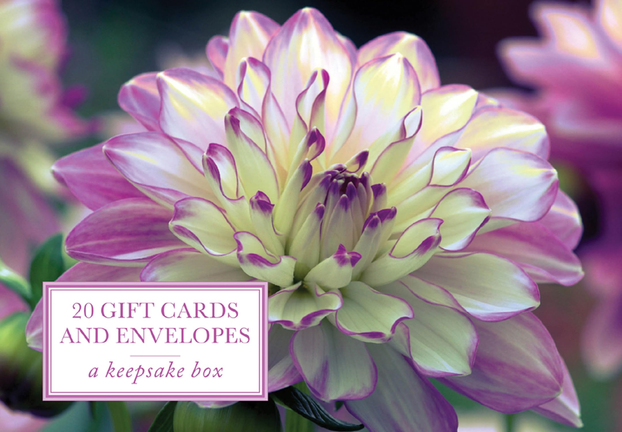 Tin Box of 20 Gift Cards and Envelopes: Dahlia: A Keepsake Tin Box Featuring 20 High-Quality Floral Gift Cards and Envelopes Hobbies & Crafts