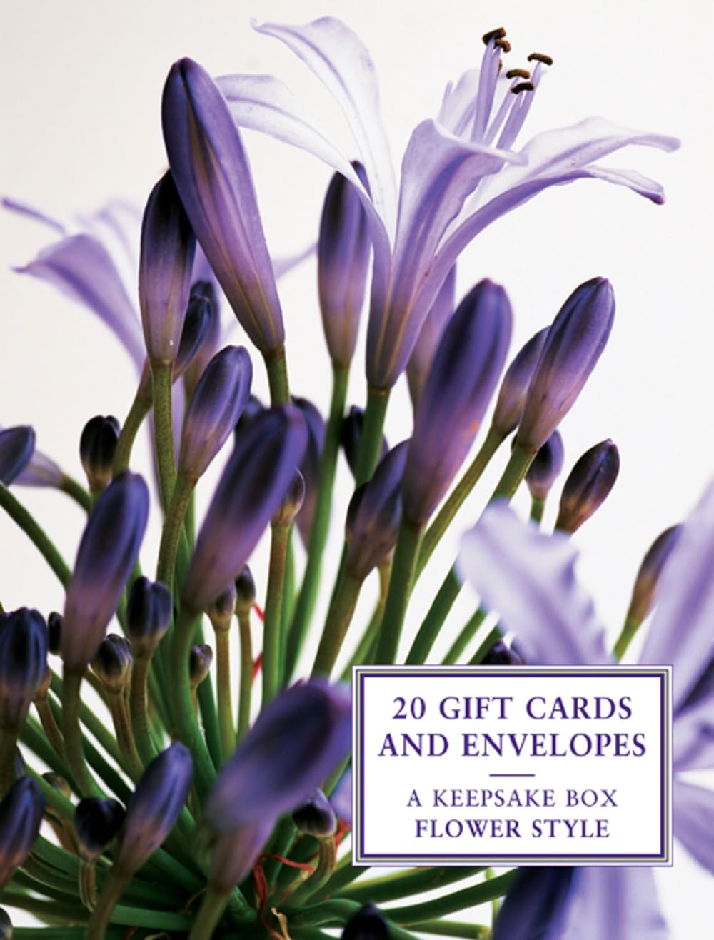 Tin Box of 20 Gift Cards and Envelopes: Flower Style Living & Furnishing