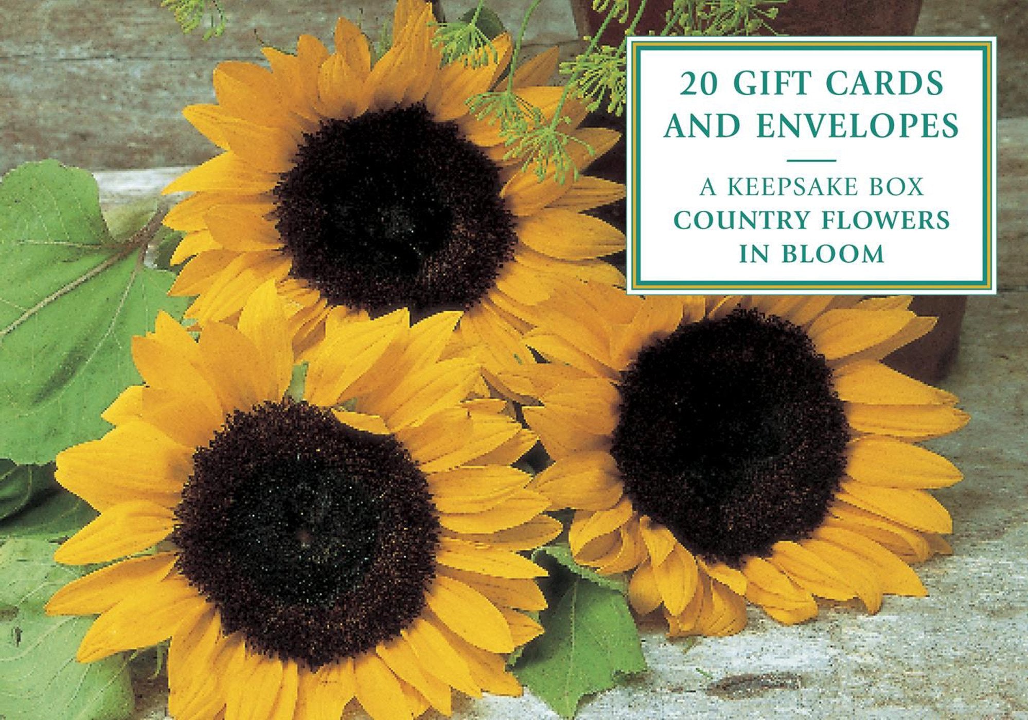 Tin Box of 20 Gift Cards and Envelopes: Country Flowers in Bloom Living & Furnishing