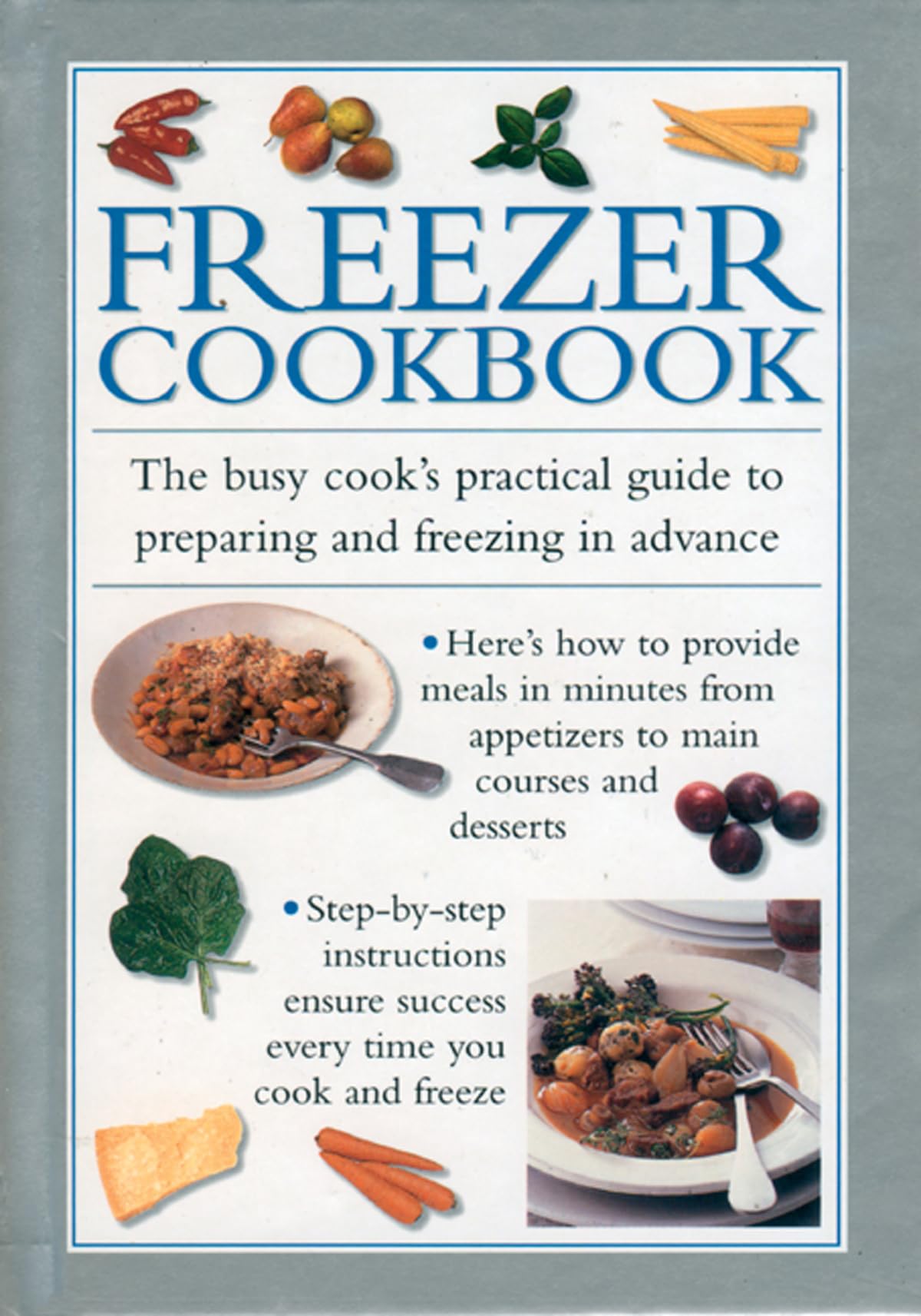 Freezer Cookbook: the Busy Cook's Practical Guide to Preparing and Freezing in Advance Leisure, Home & Garden