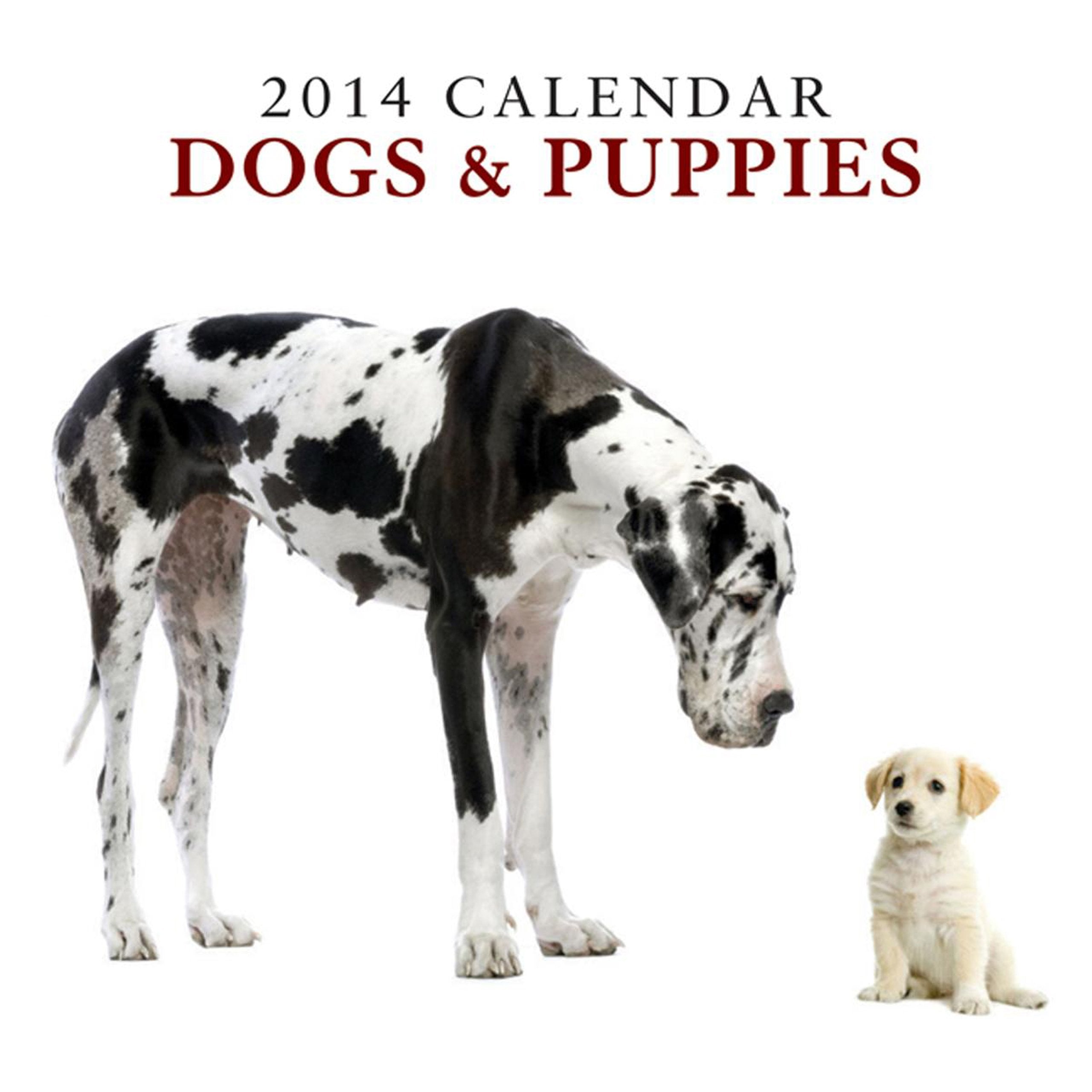 Dogs & Puppies 2014 Calendar Pets