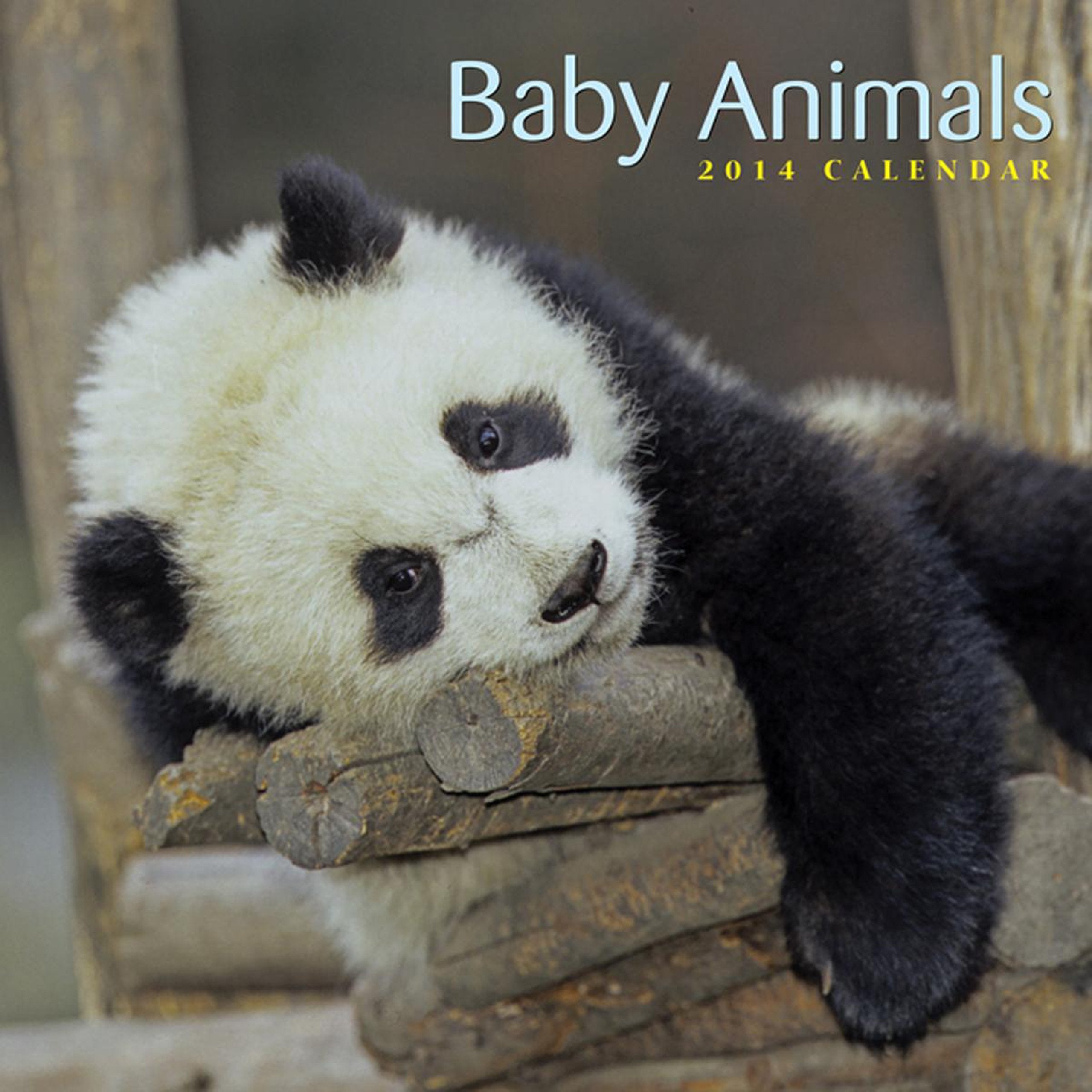 Baby Animals 2014 Calendar: 12-Month Calendar Featuring Adorable Photographs of Baby Wild Animals Mathematics