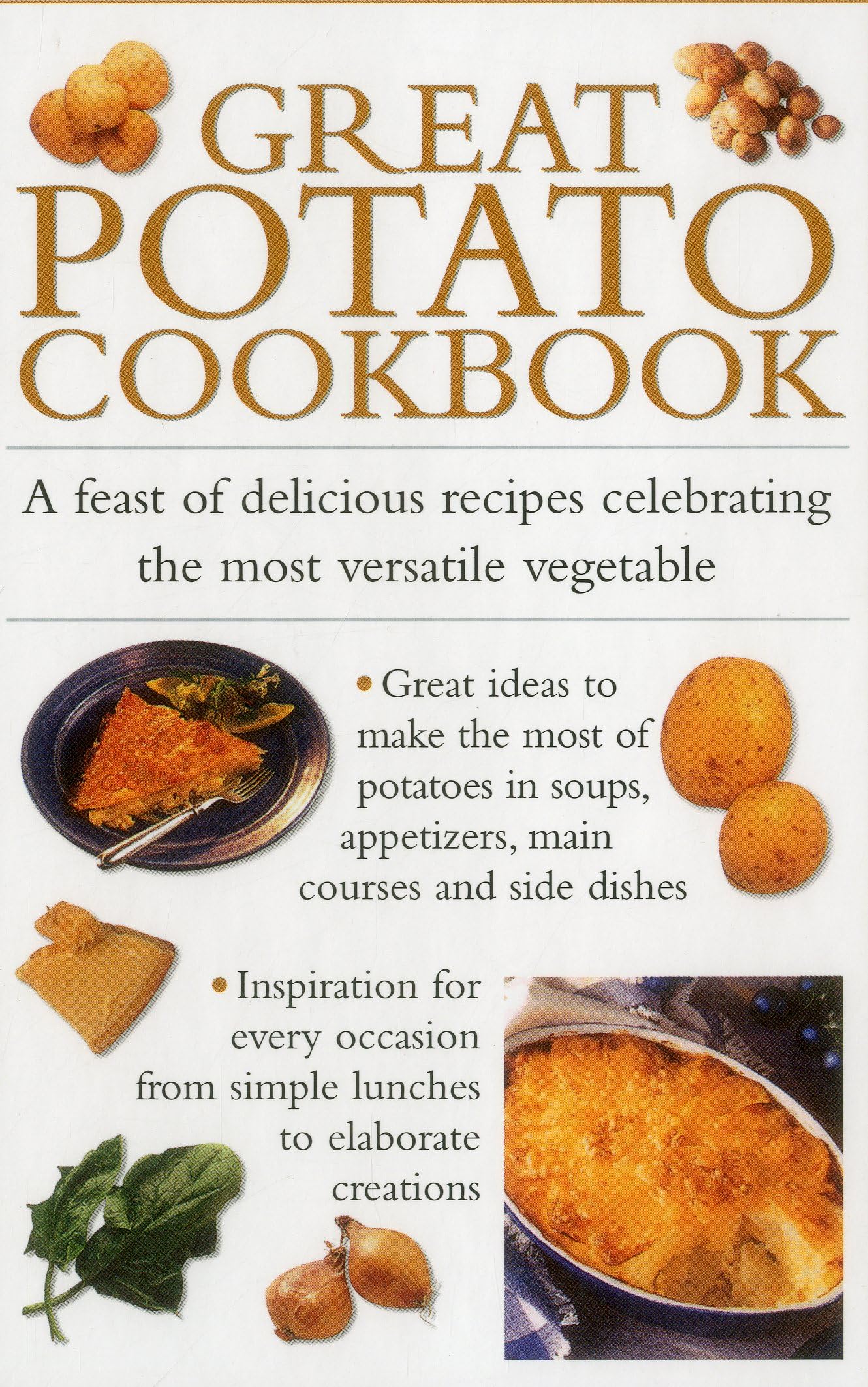 Great Potato Cookbook: A Feast of Delicious Recipes Celebrating the Most Versatile Vegetable Leisure, Home & Garden