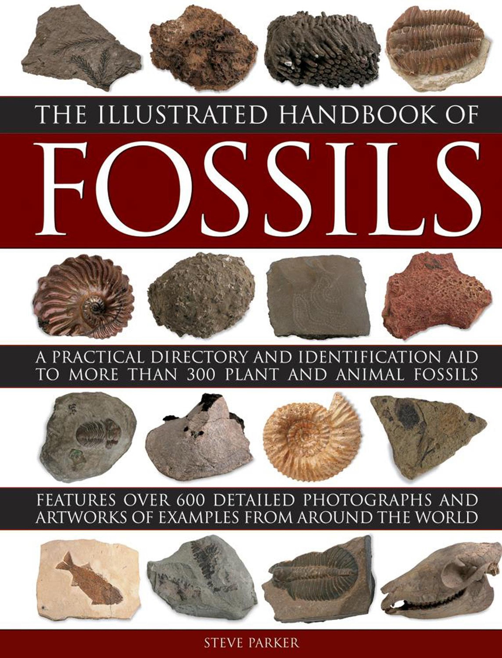 The Illustrated Handbook of Fossils: A Practical Directory and Identification Aid to More Than 300 Plant and Animal Fossils Mathematics