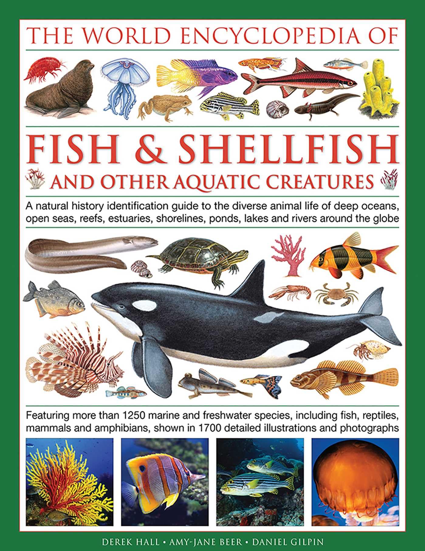 World Encyclopedia Of Fish & Shellfish And Other Aquatic Creatures Mathematics