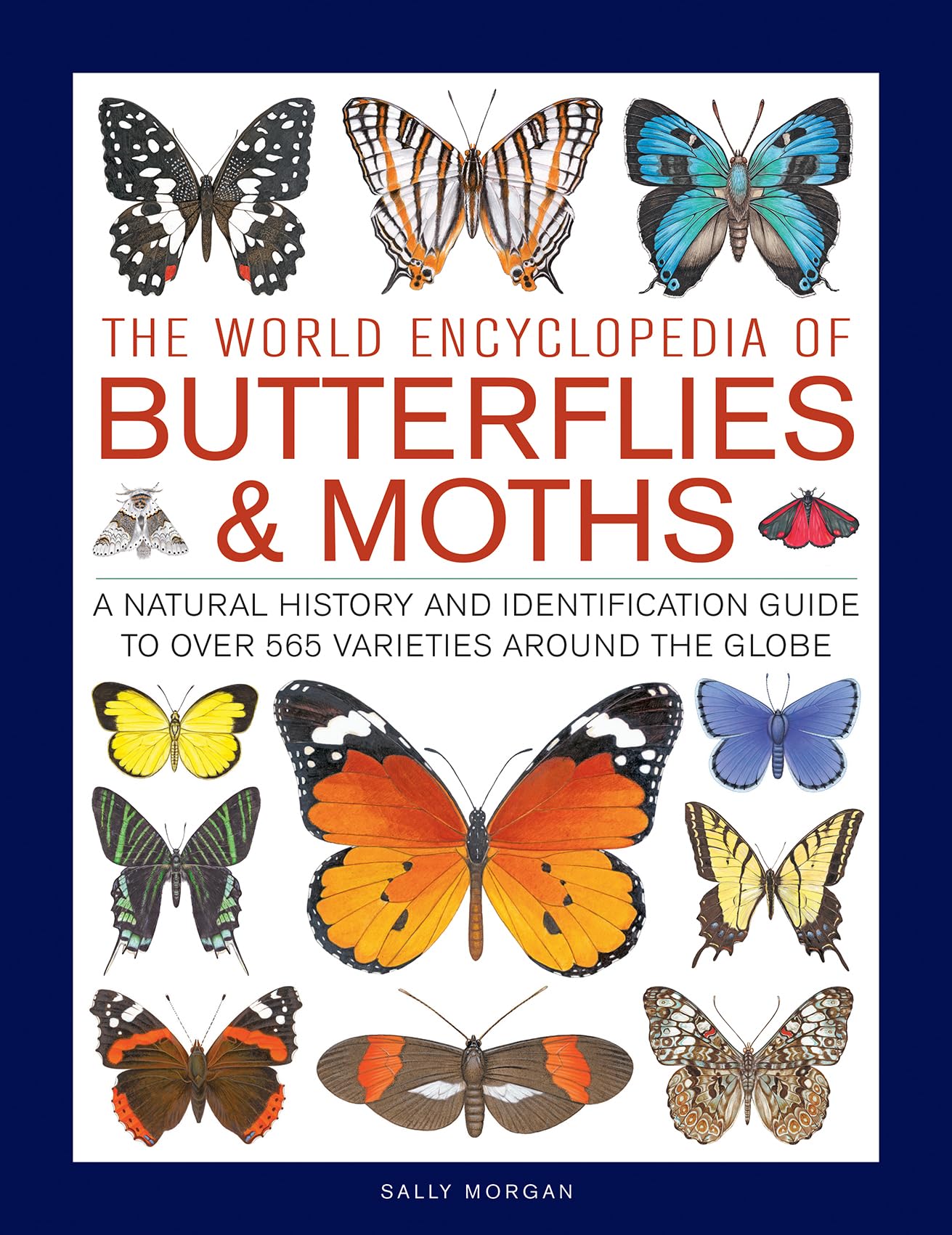 The World Encyclopedia of Butterflies & Moths Mathematics