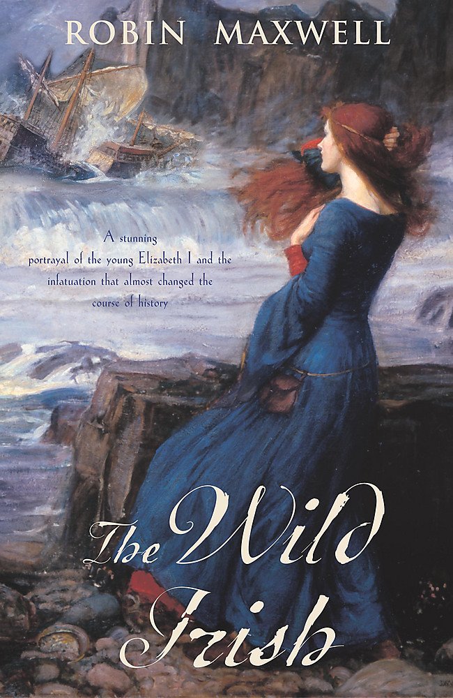 The Wild Irish Contemporary literature Books