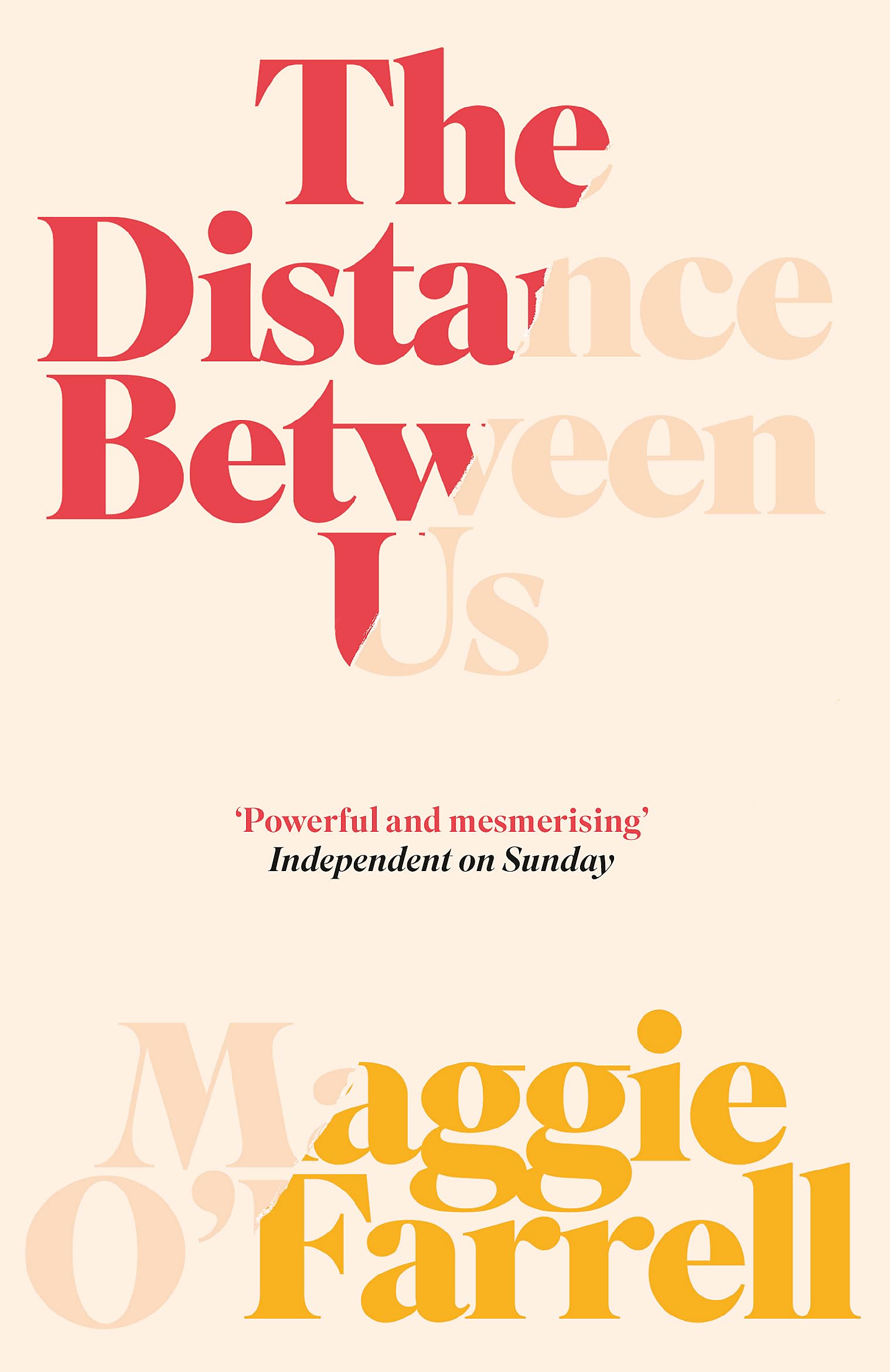 The Distance Between Us Contemporary literature Books