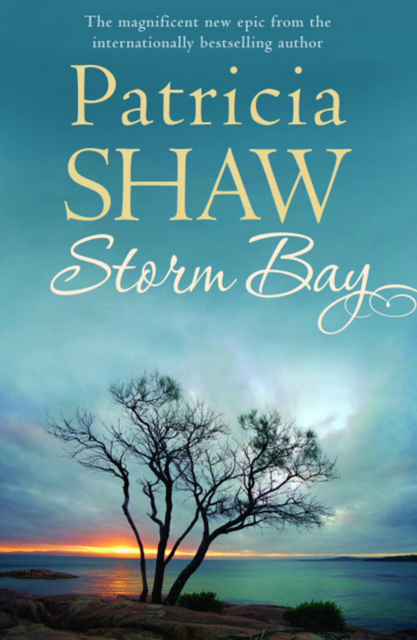 Storm Bay Contemporary literature Books