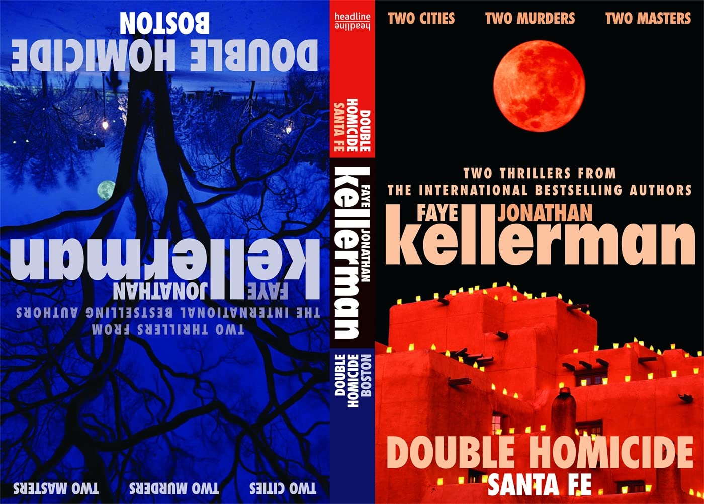 Double Homicide Contemporary literature