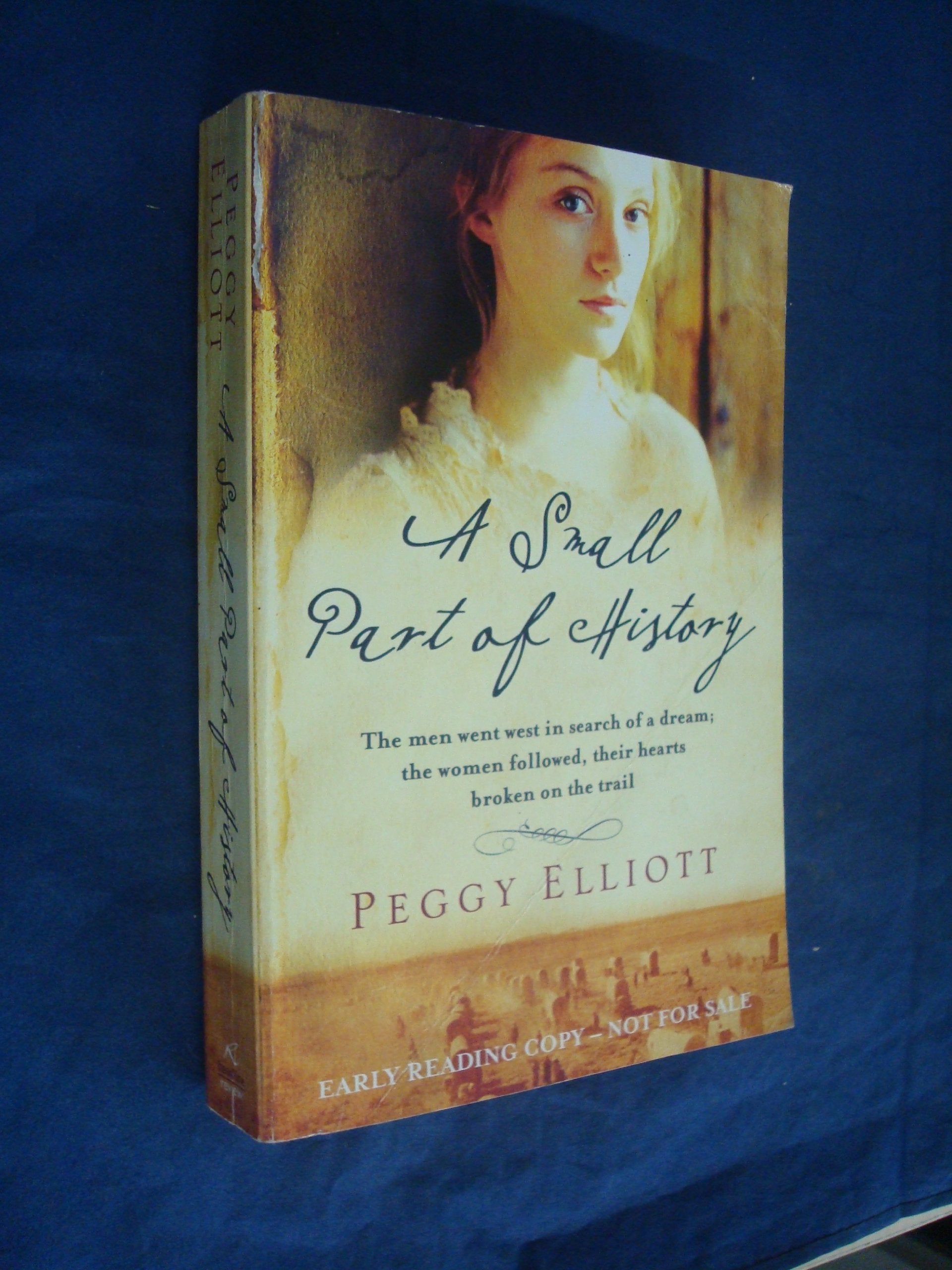 A Small Part of History Historical Fiction