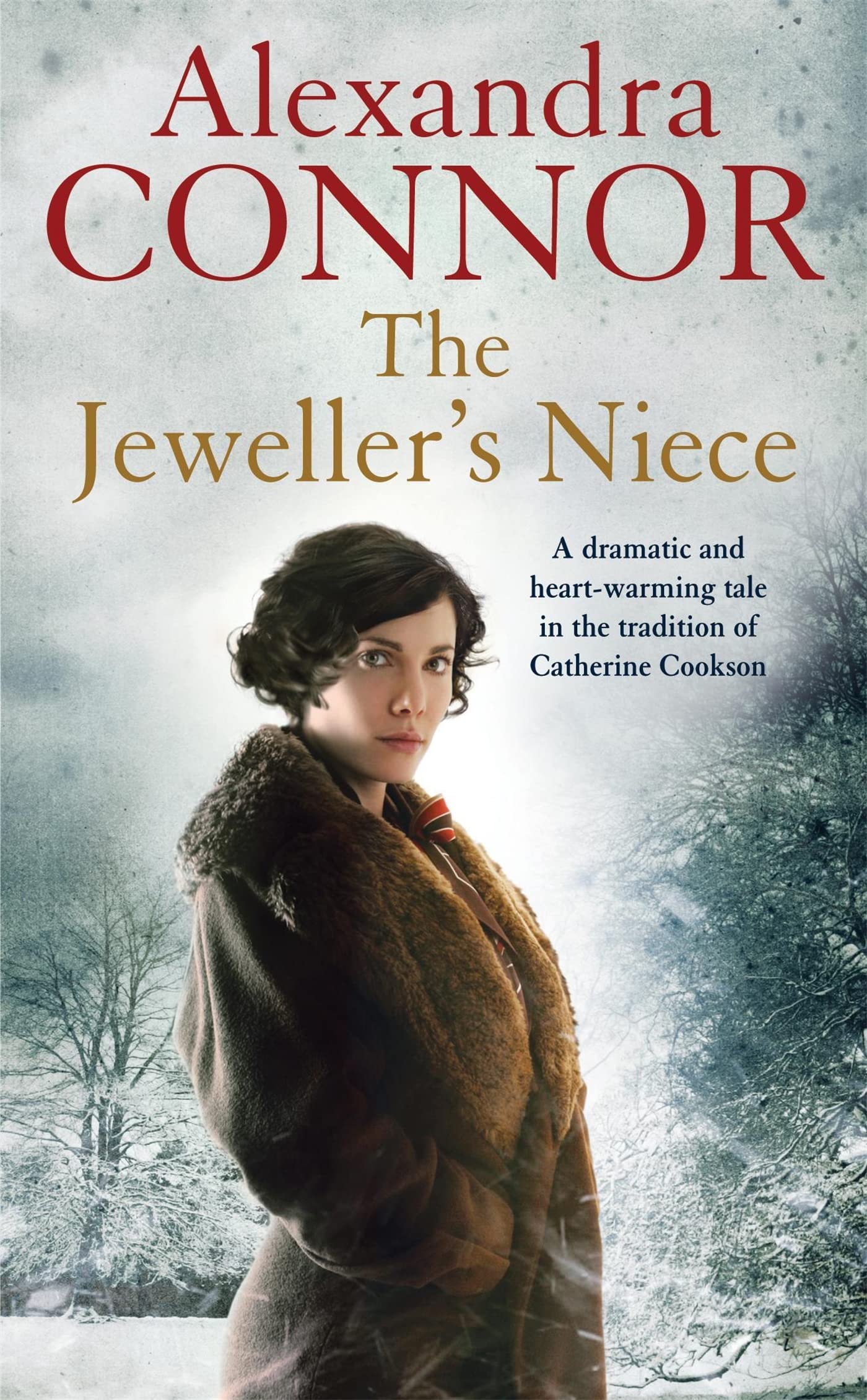 Connor, A: The Jeweller's Niece book