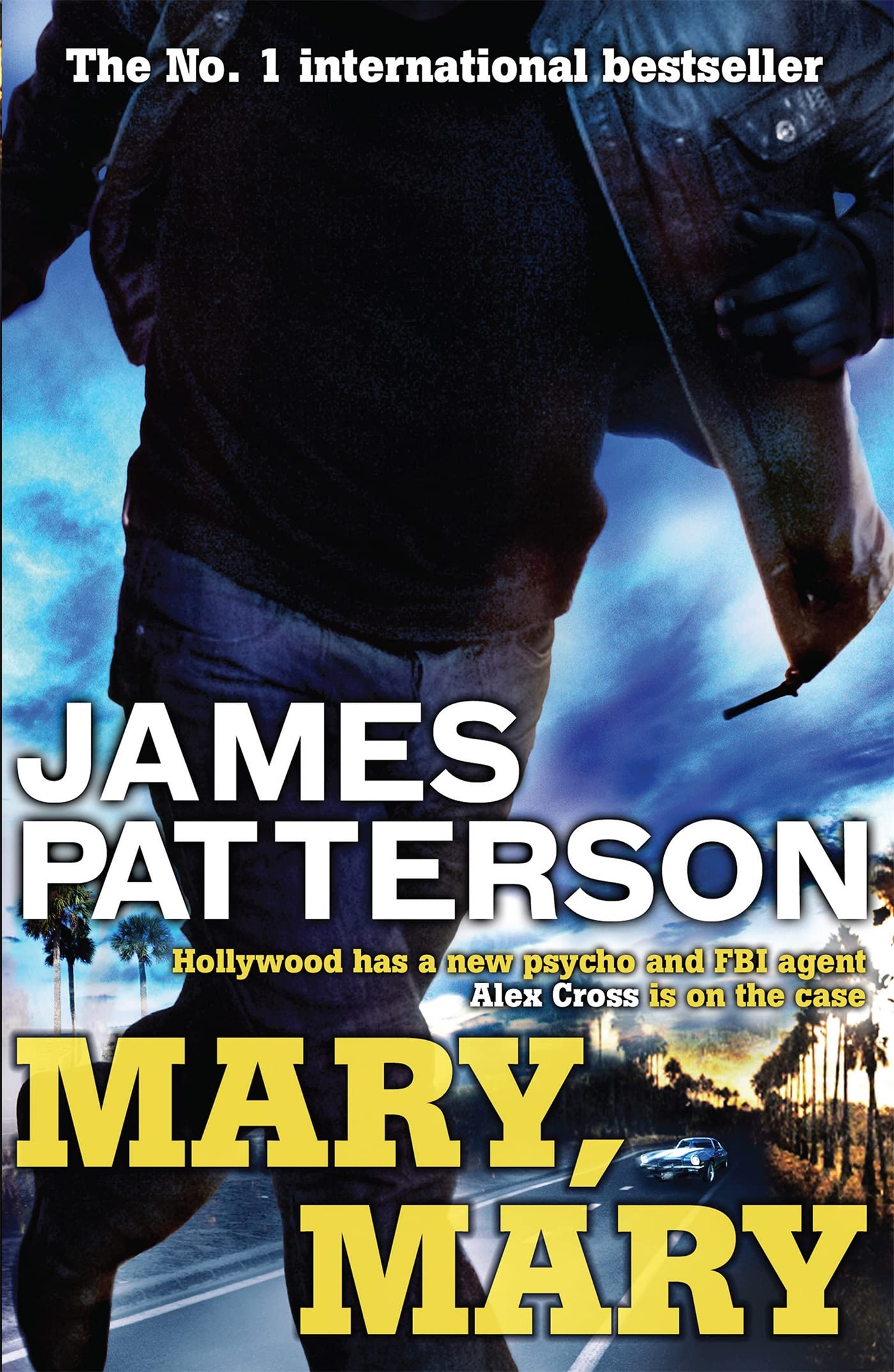 Mary, Mary (Alex Cross) Action & Adventure