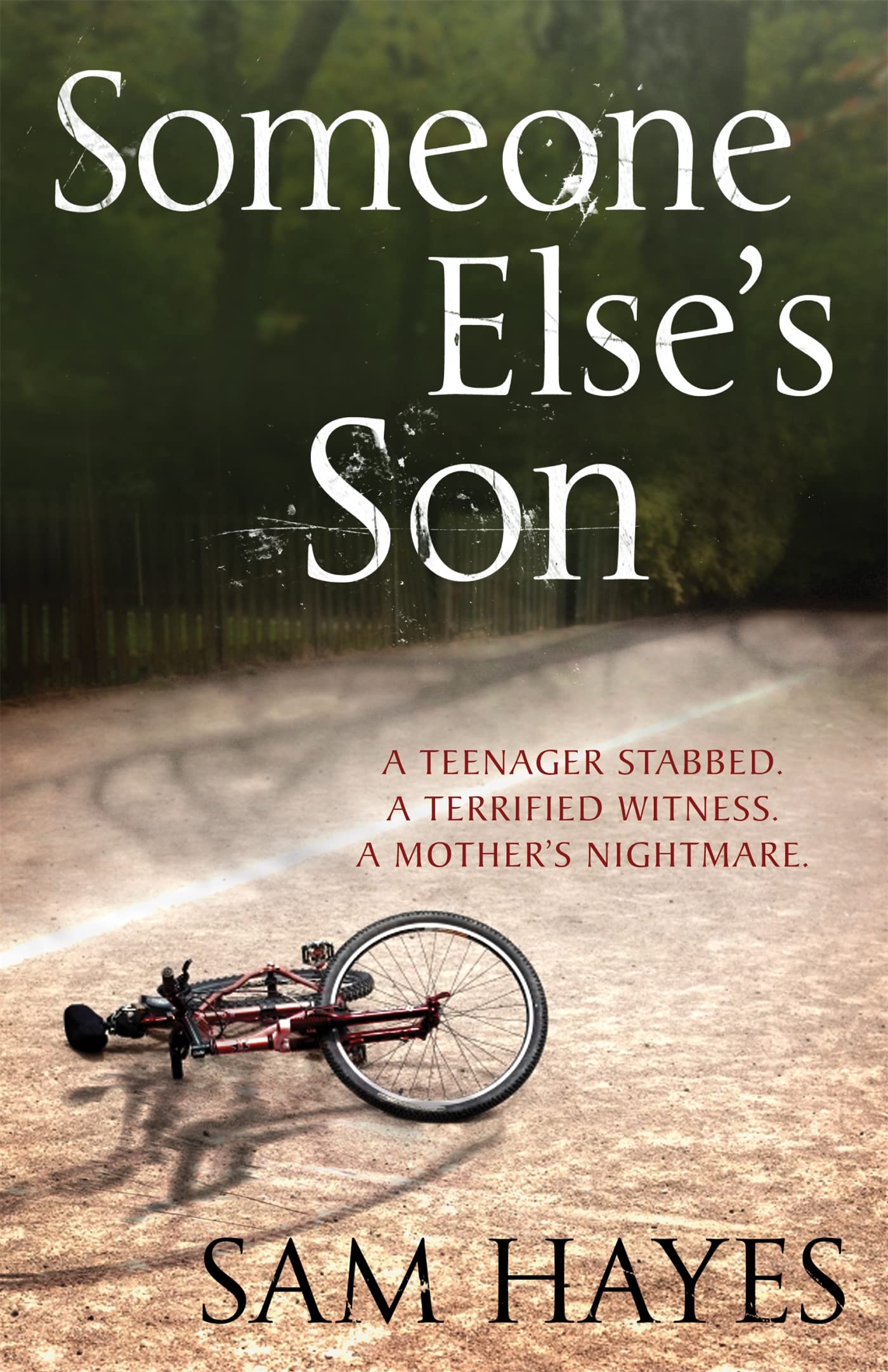 Someone Else's Son Contemporary literature Books