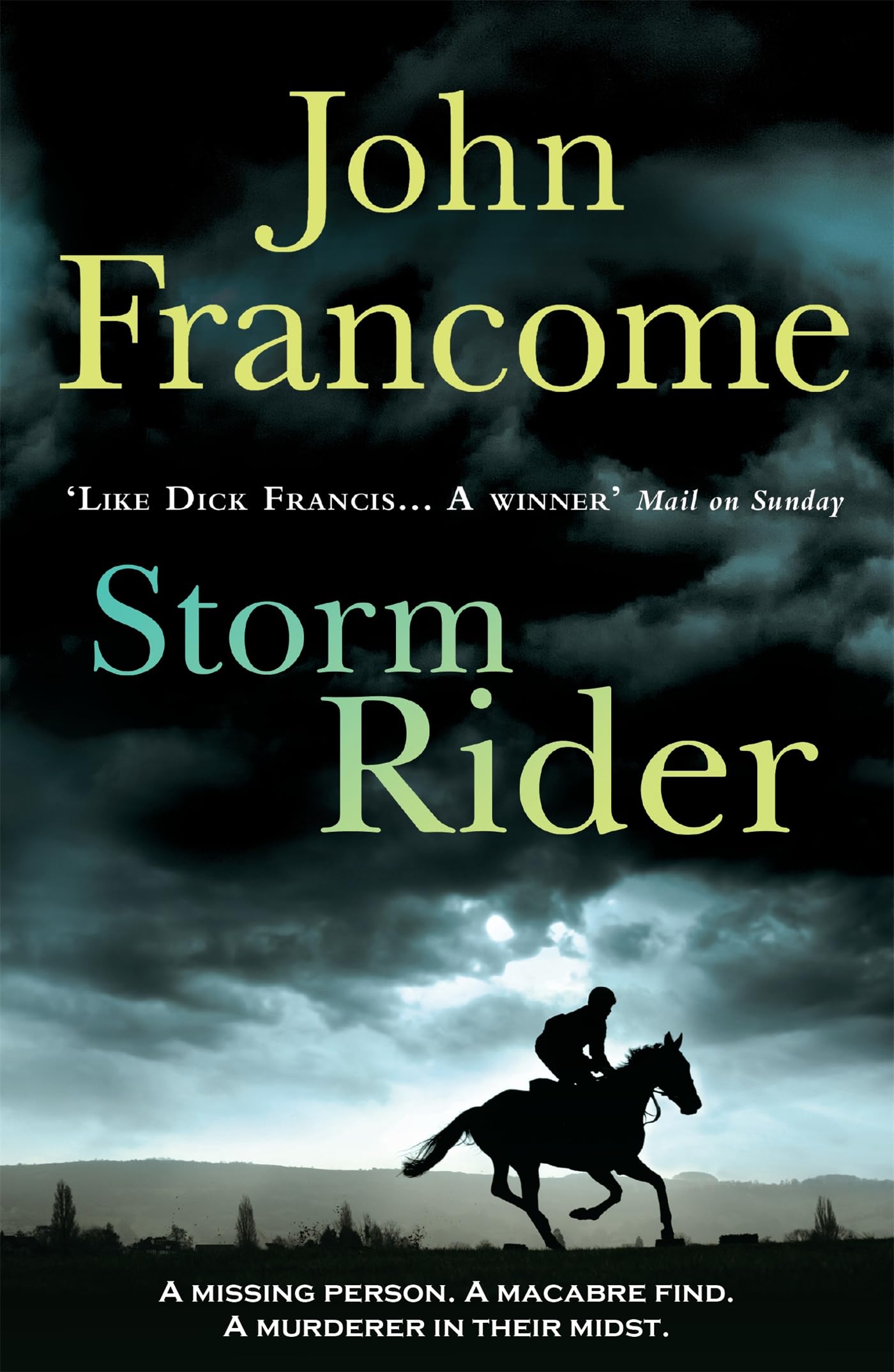 Storm Rider Contemporary literature Books