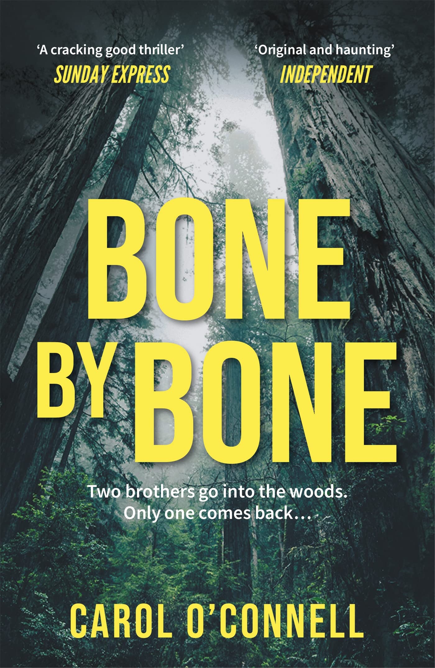 Bone by Bone: a gripping who-dunnit with a twist you don't see coming Contemporary literature