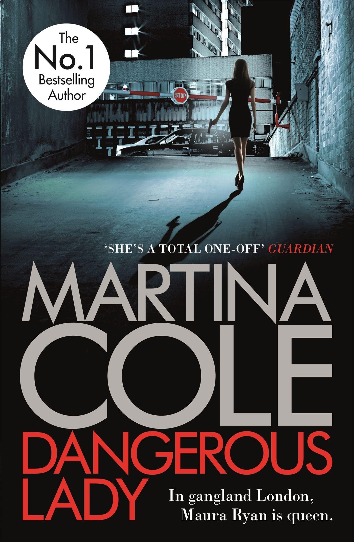 Dangerous Lady Contemporary literature Books