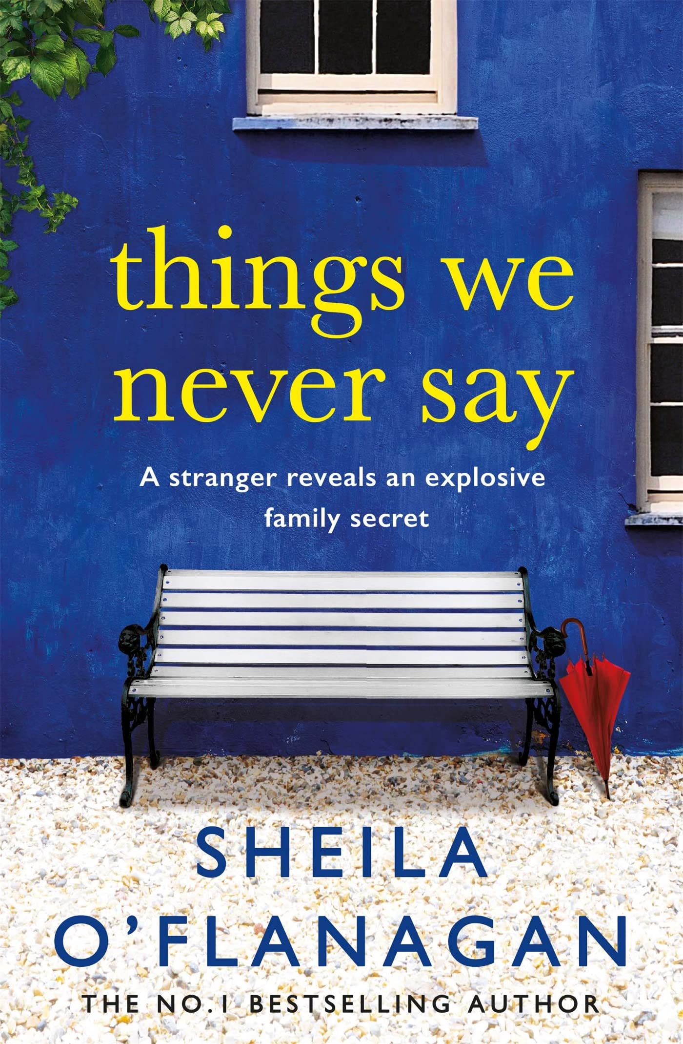 Things We Never Say Contemporary literature Books