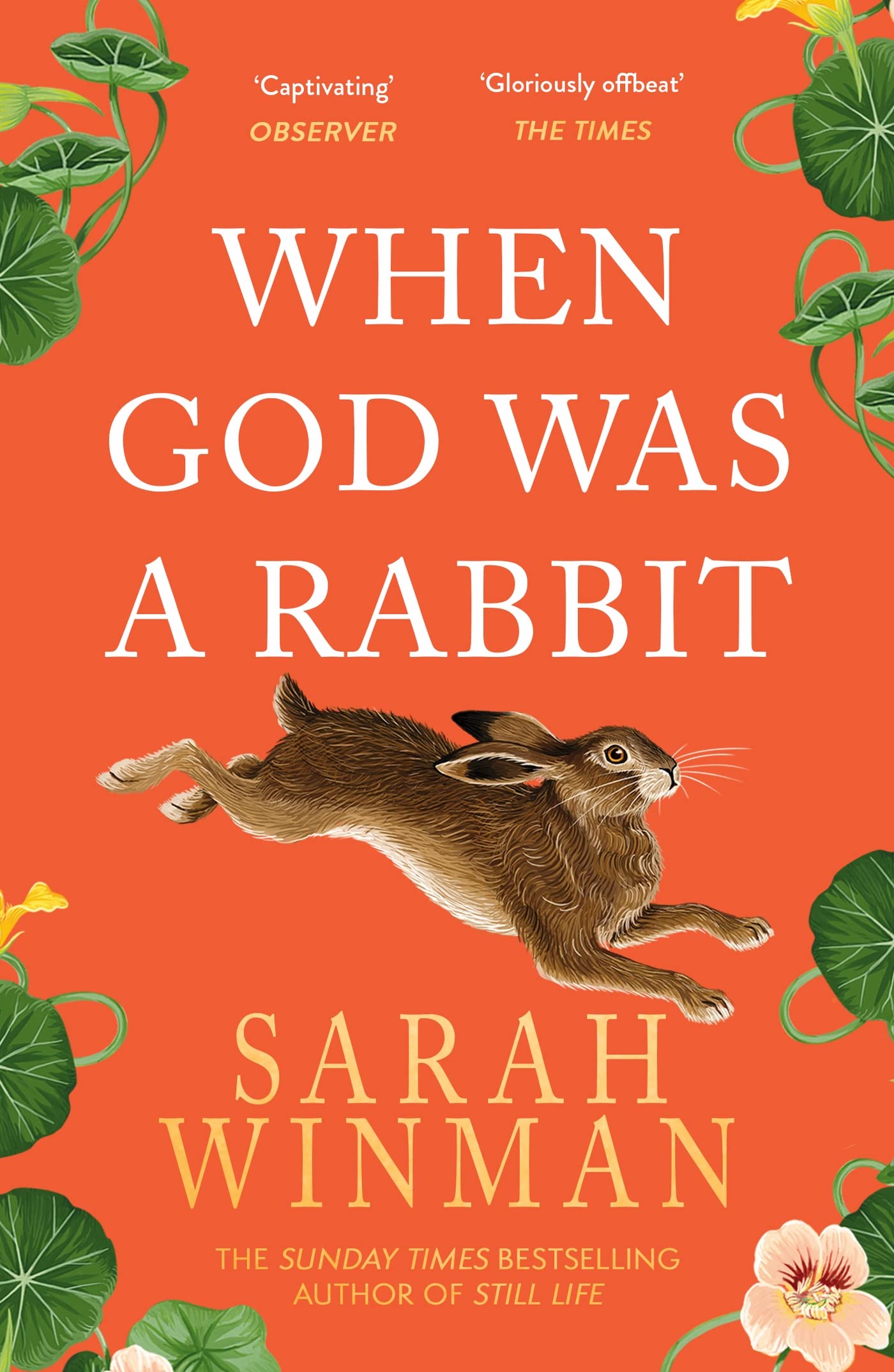 When God Was a Rabbit Contemporary literature Books