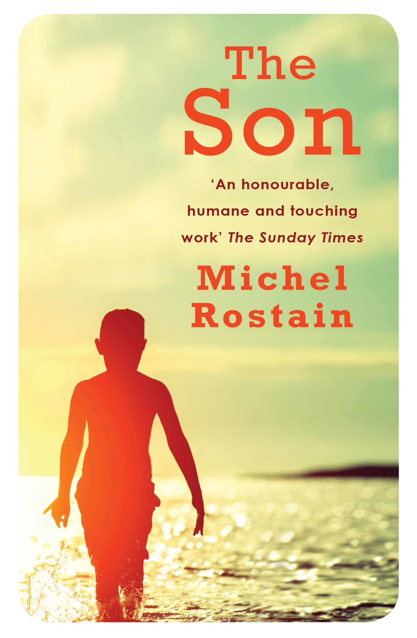 The Son Contemporary literature Books