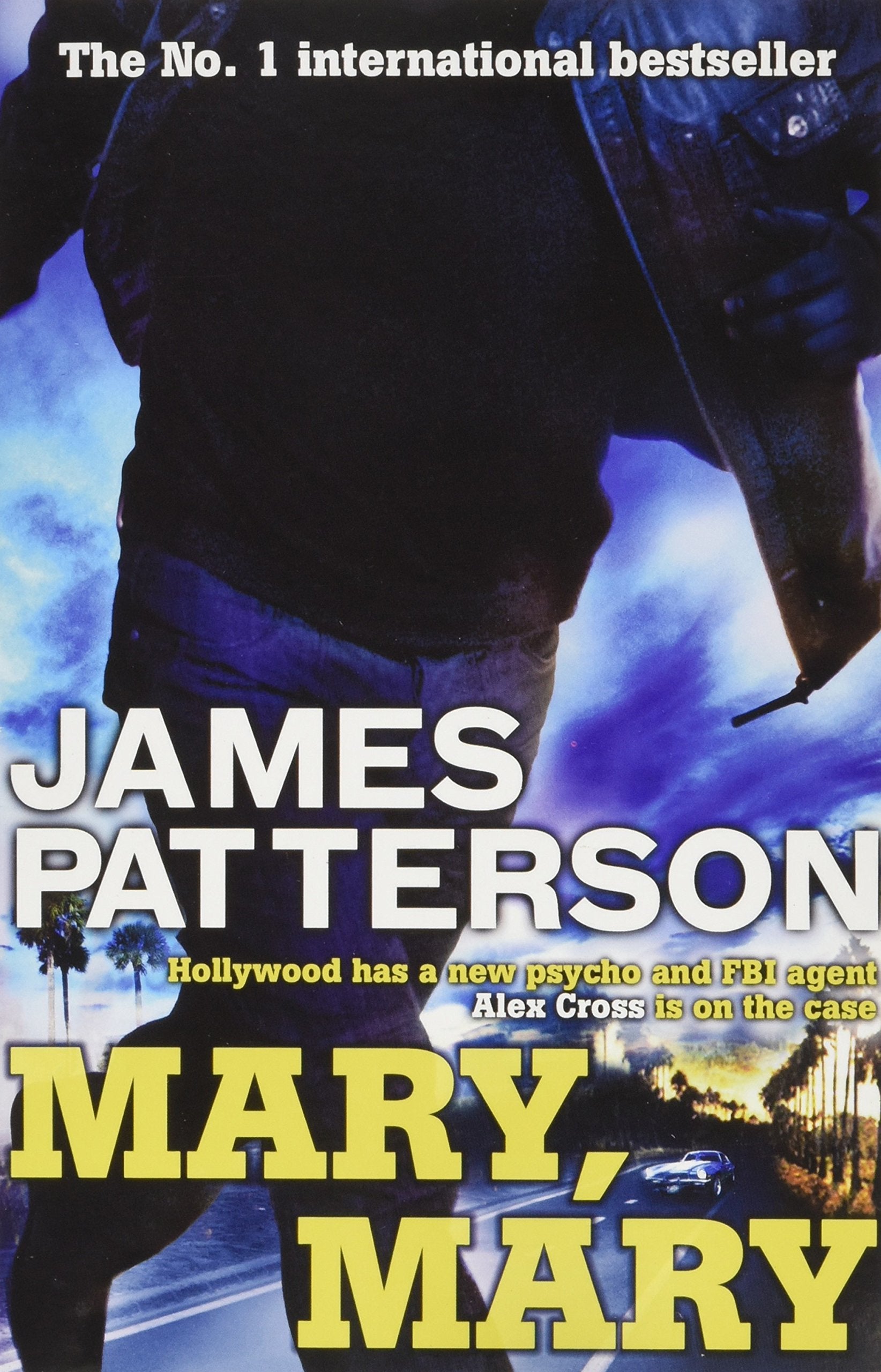 MARY MARY Contemporary literature Books
