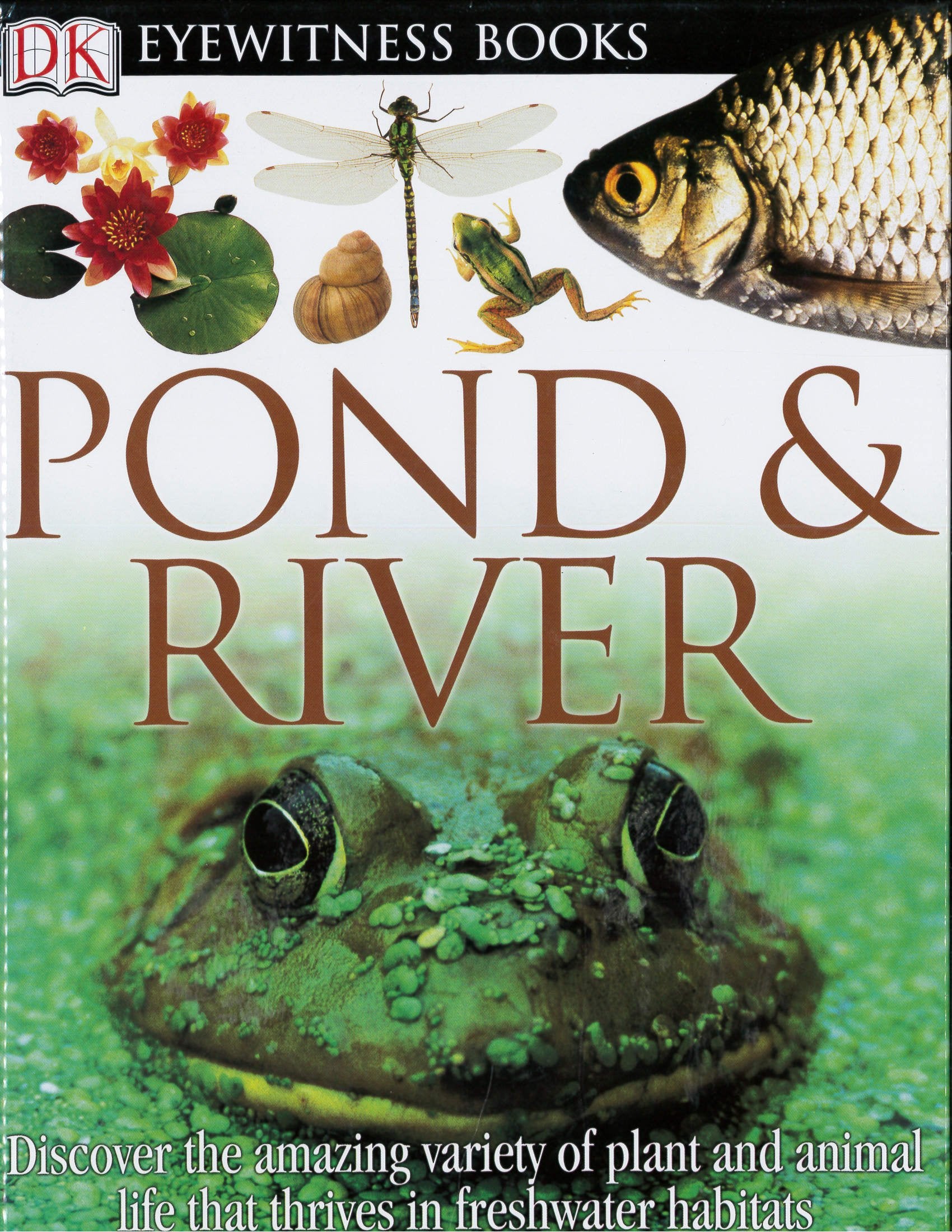 Eyewitness Books Pond & River (DK Eyewitness Books) Non-fiction