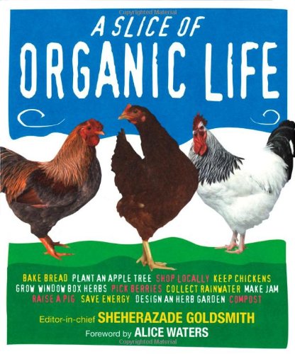 A Slice of Organic Life Mathematics